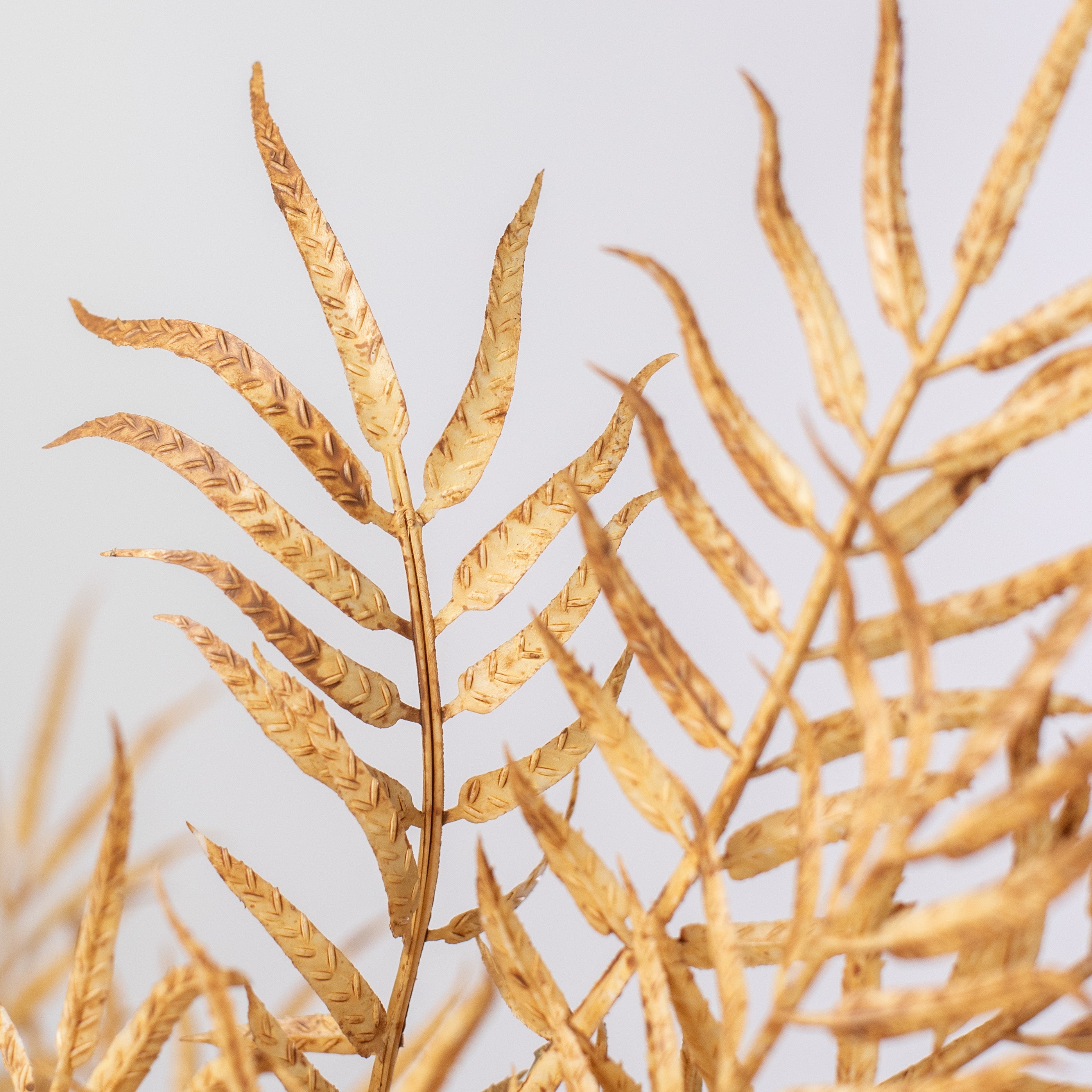 21" Fern Bush: Beige Lifestyle Photo