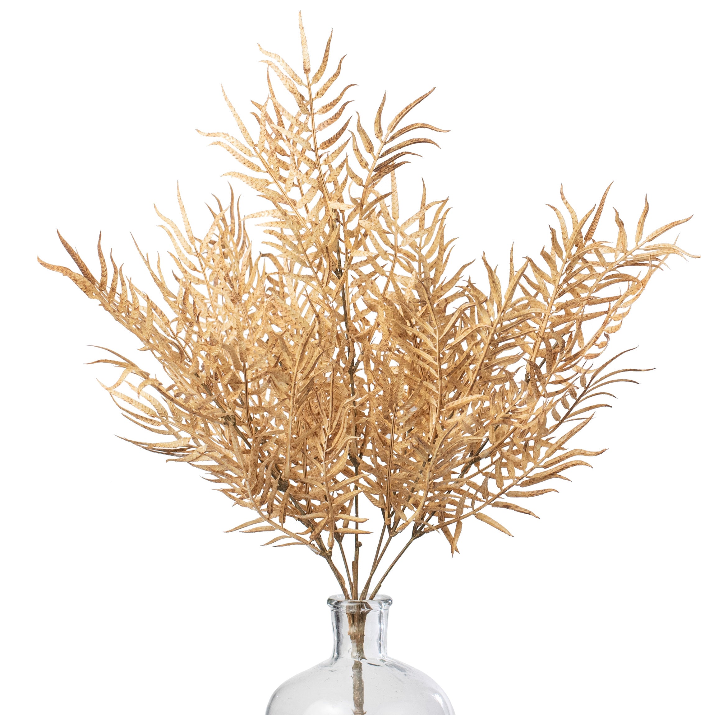 21" Fern Bush: Beige Item Number: 57012BE