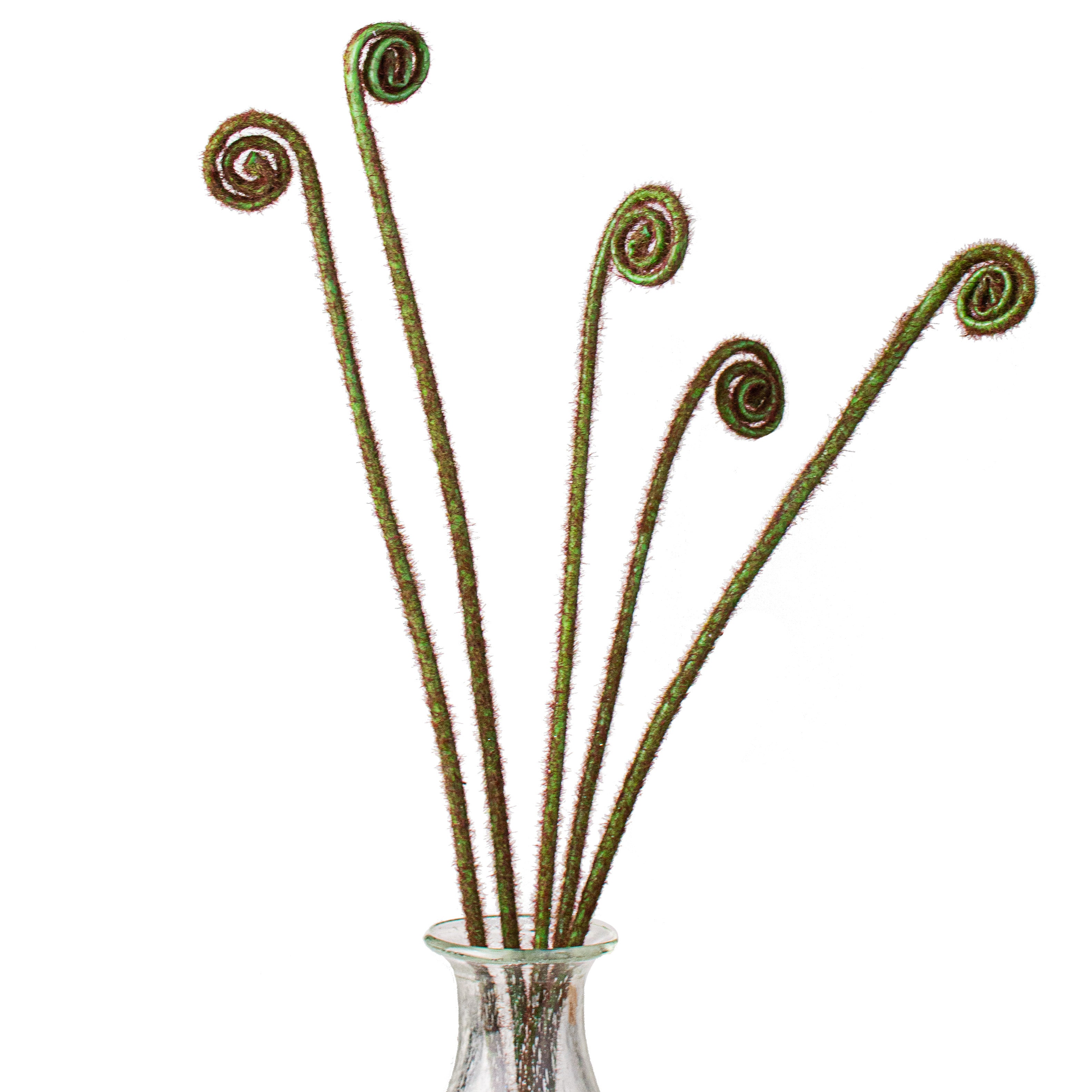 24" Fern Frond Bundle: Green (5) Item Number: 2370093GR