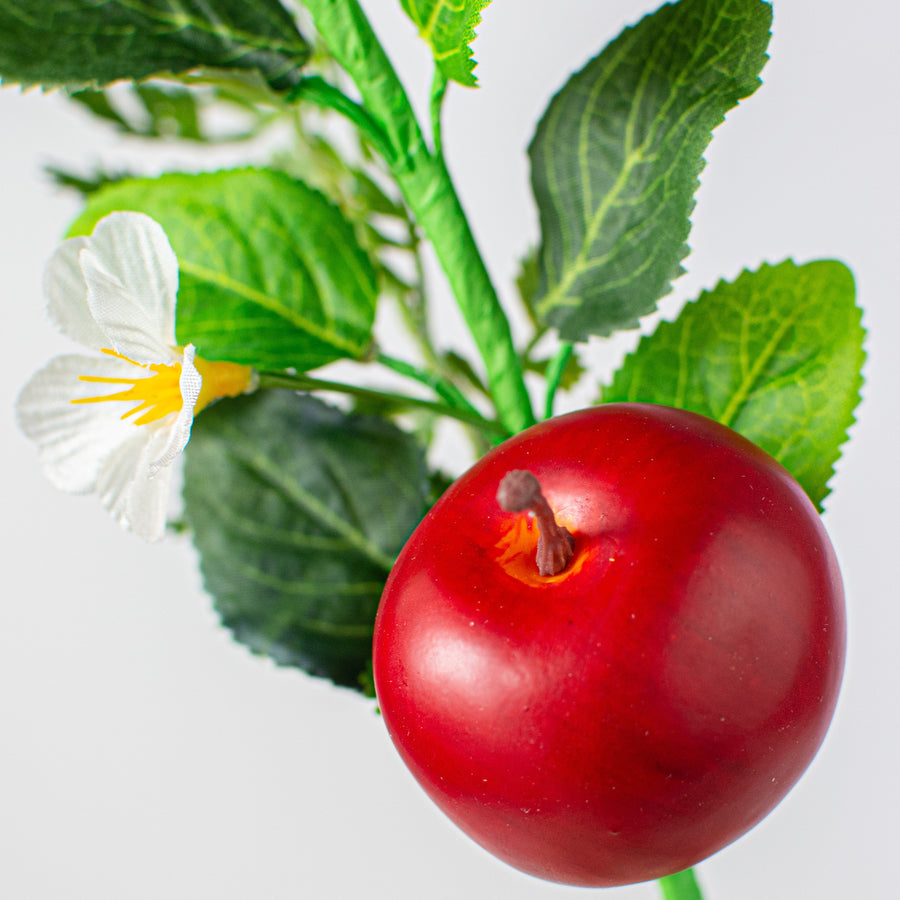 10" Fern, Greenery, Apple Pick Lifestyle Photo