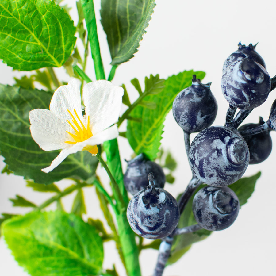 10" Fern, Greenery, Blueberry Pick Lifestyle Photo