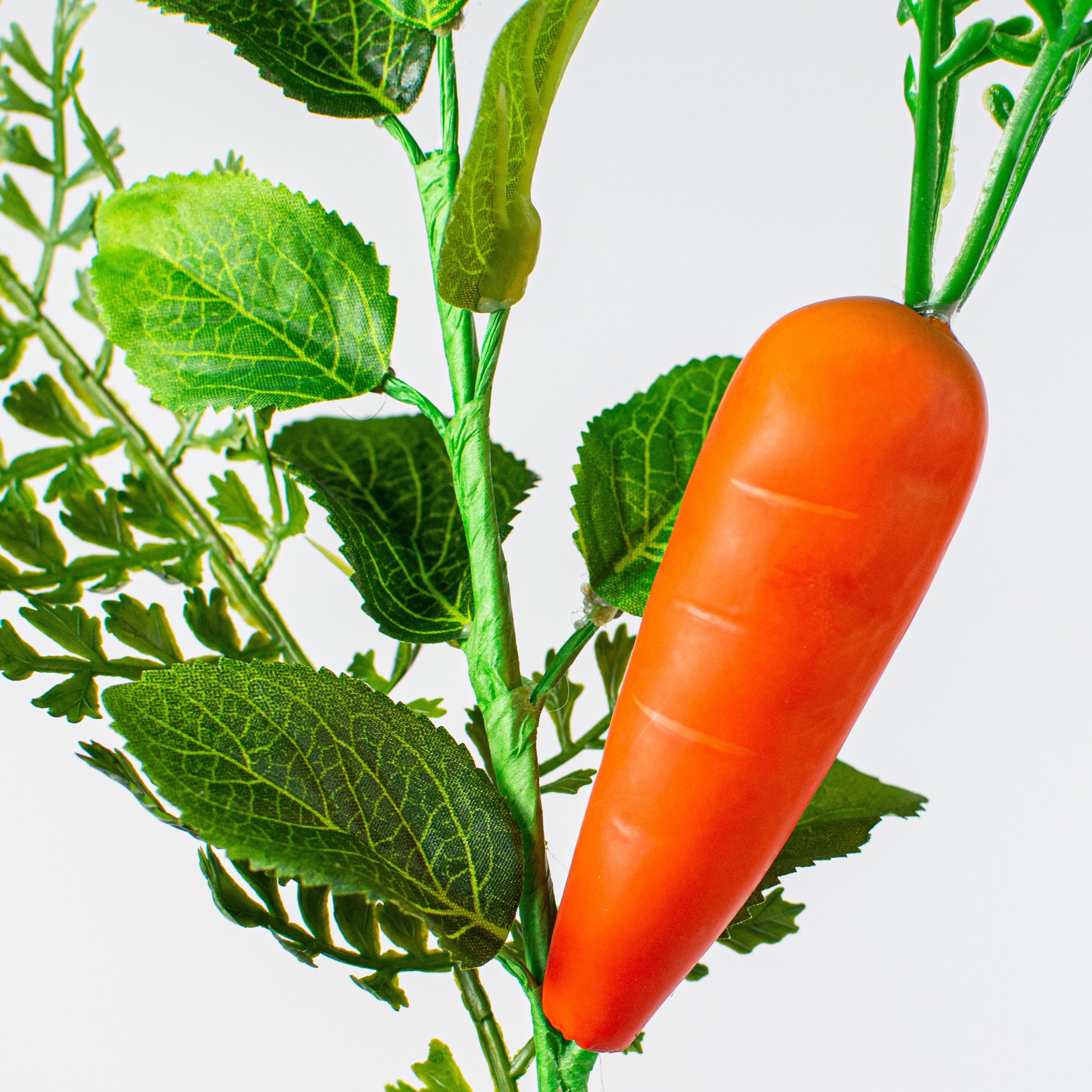 10" Fern, Greenery, Carrot Pick Lifestyle Photo