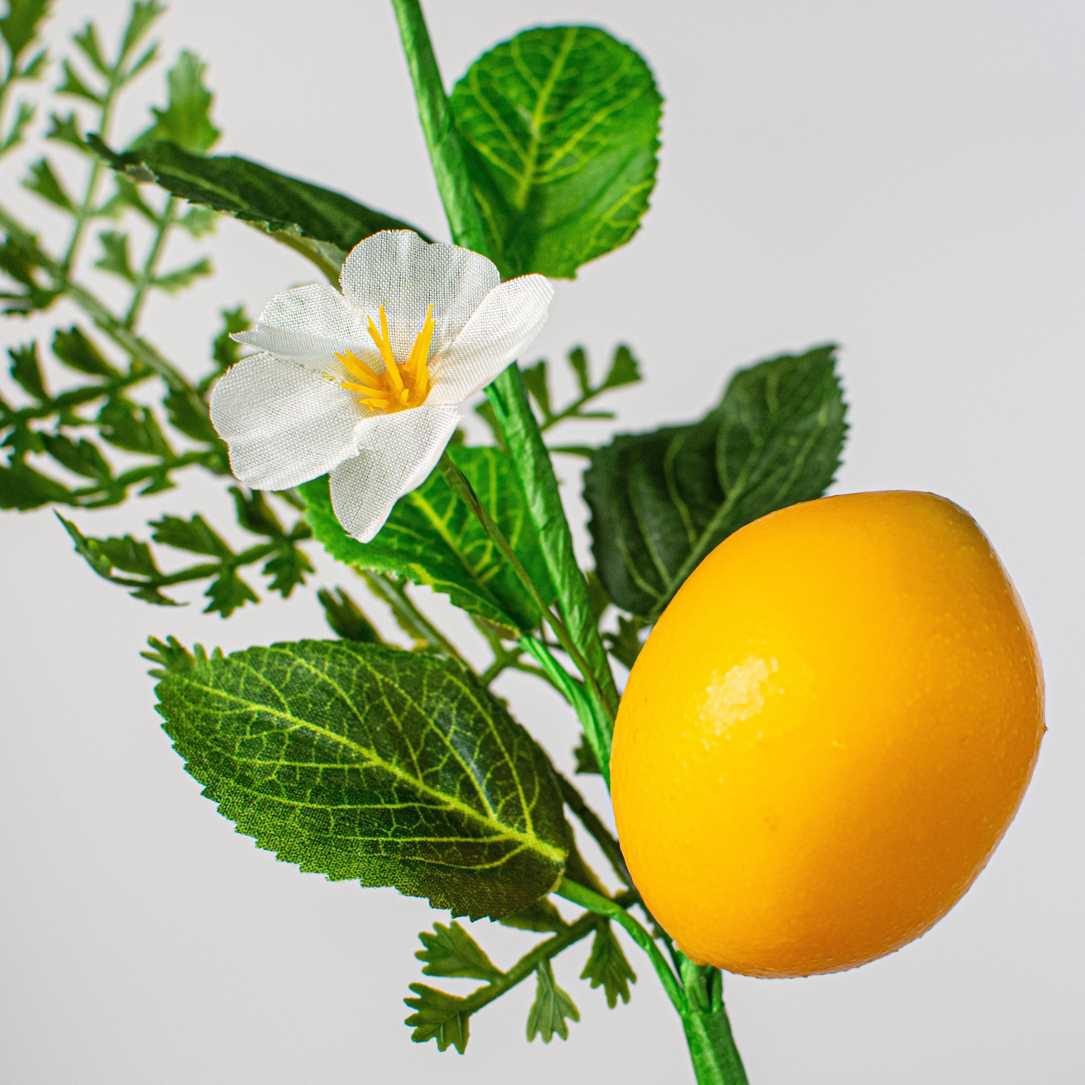 10" Fern, Greenery, Lemon Pick Lifestyle Photo