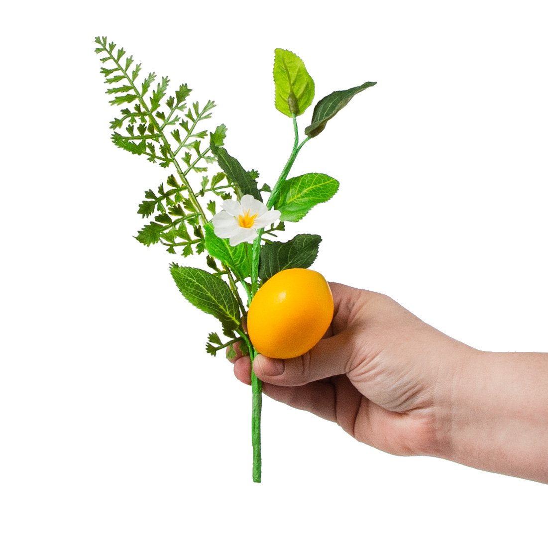 10" Fern, Greenery, Lemon Pick detail photo 3