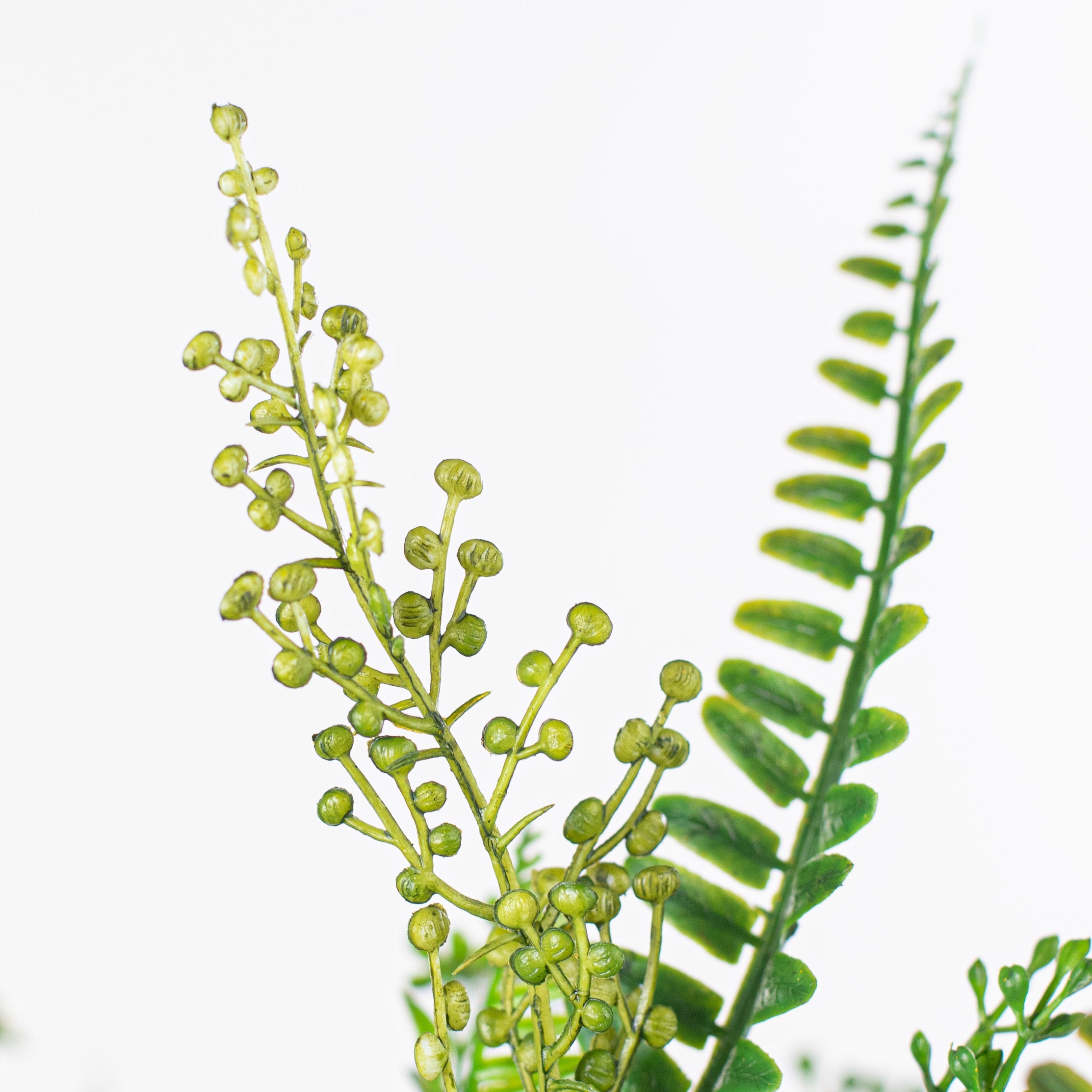 20" Fern Leaves Mix Bush detail photo 5