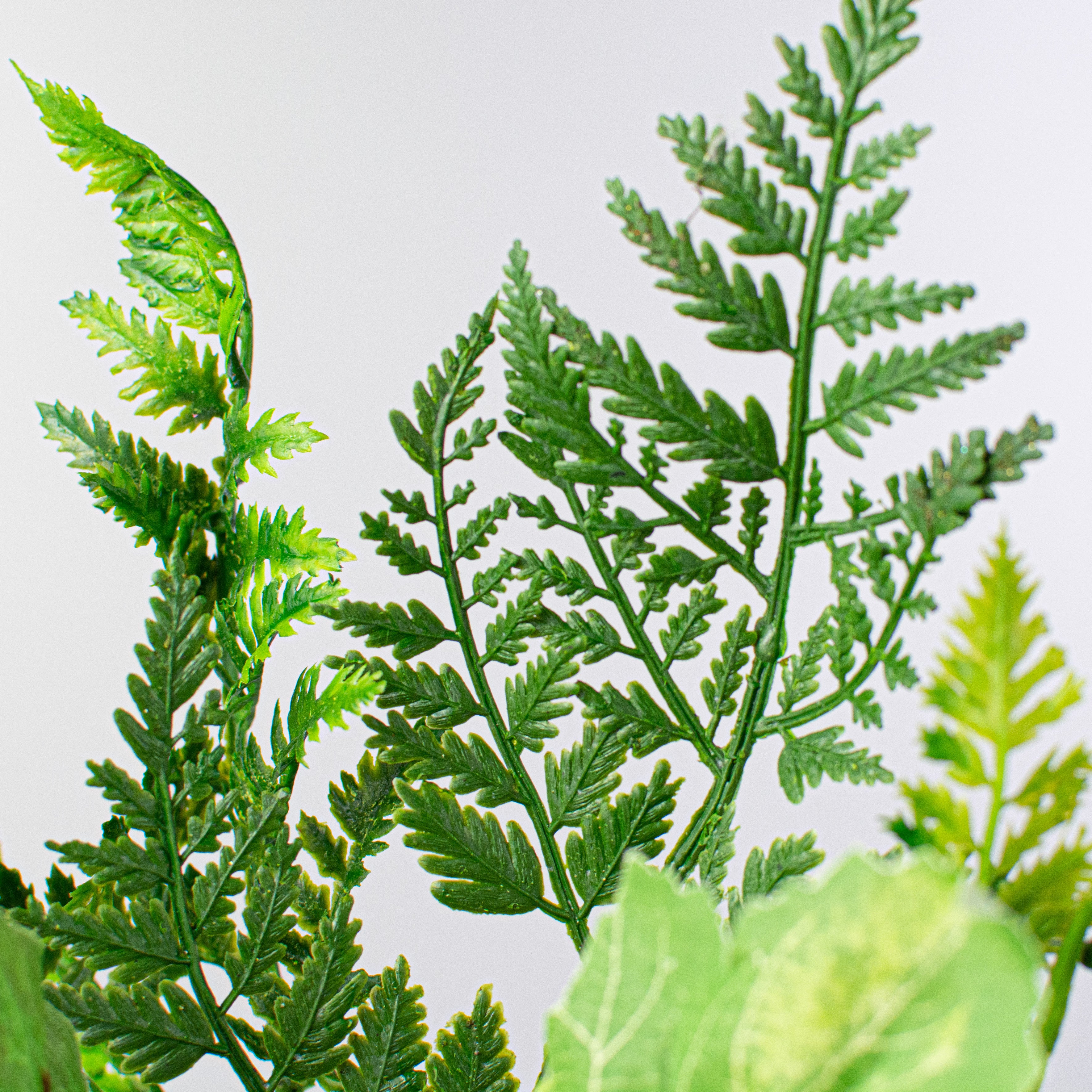 16" Fern & Leaves Pick Lifestyle Photo