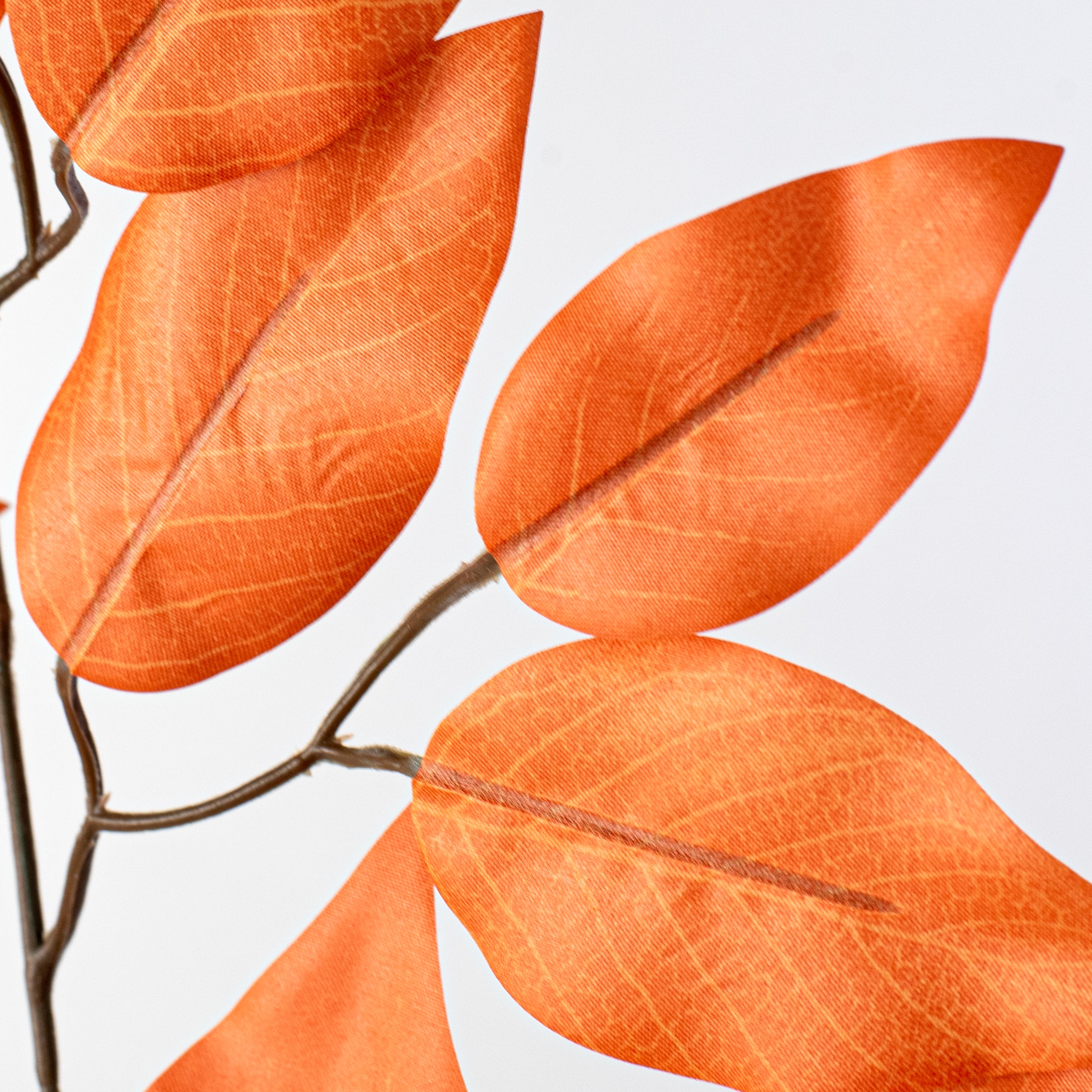 23" Ficus Leaf Spray: Burnt Orange (12) Lifestyle Photo