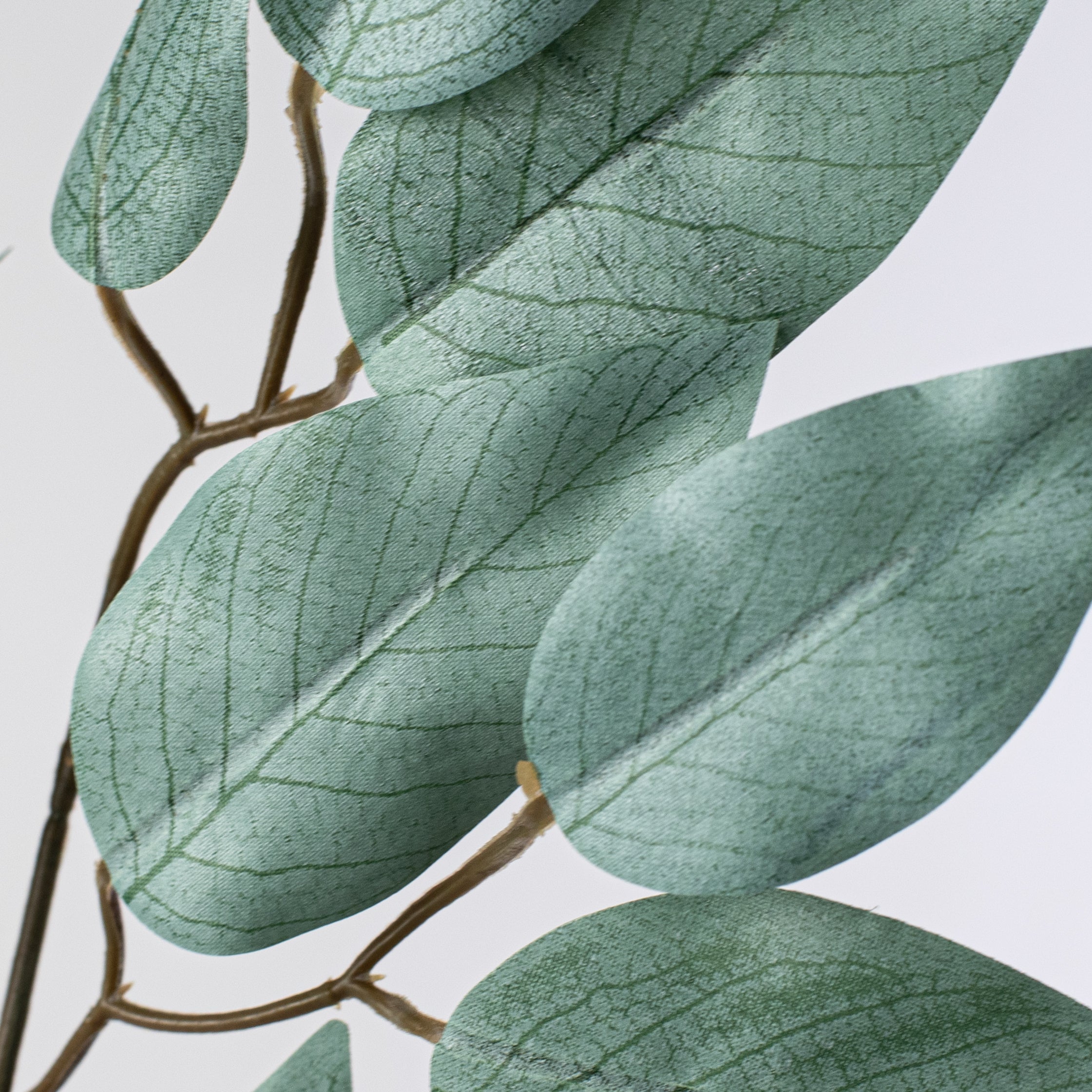 23" Ficus Leaf Spray: Light Sage Green (12) Lifestyle Photo