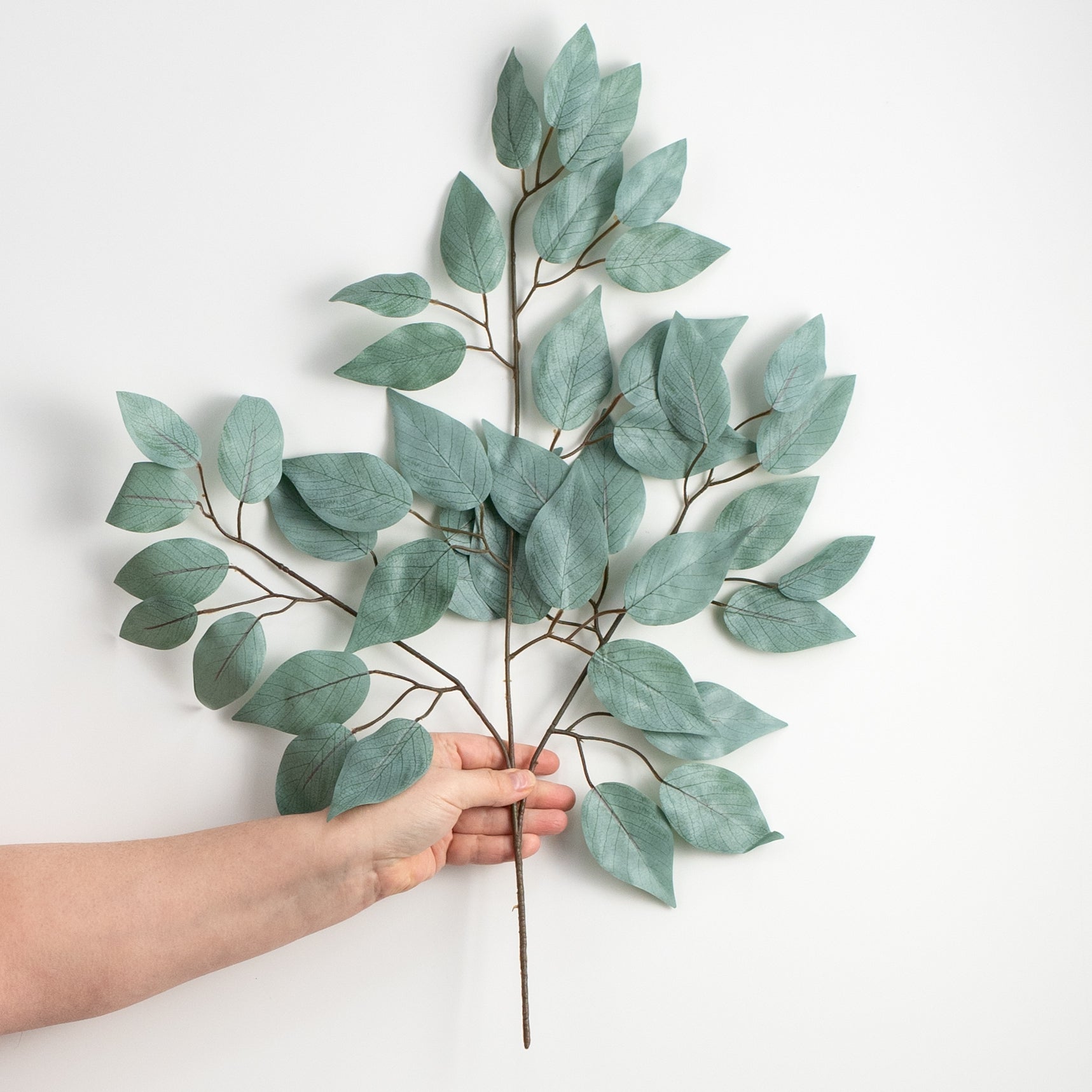 23" Ficus Leaf Spray: Light Sage Green (12) detail photo 3