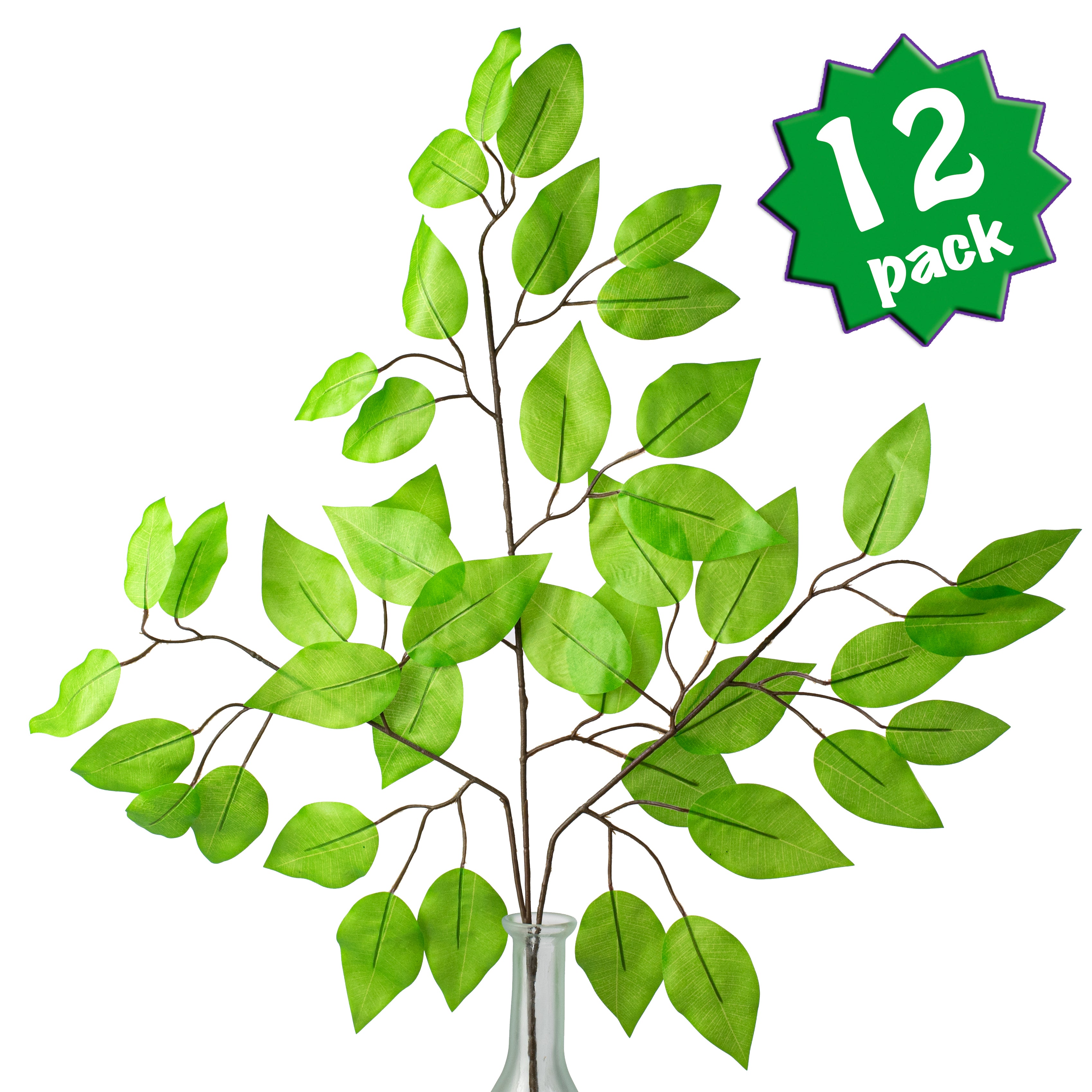 23" Ficus Leaf Spray: Lime Green (12) Item Number: FG633739