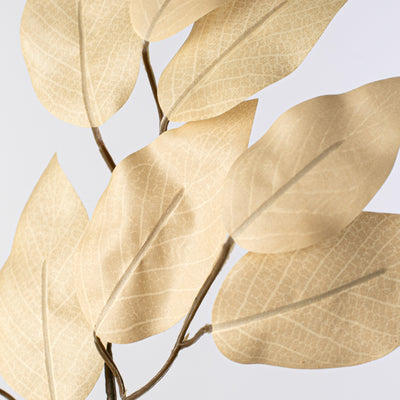 23" Ficus Leaf Spray: Taupe (12) Lifestyle Photo