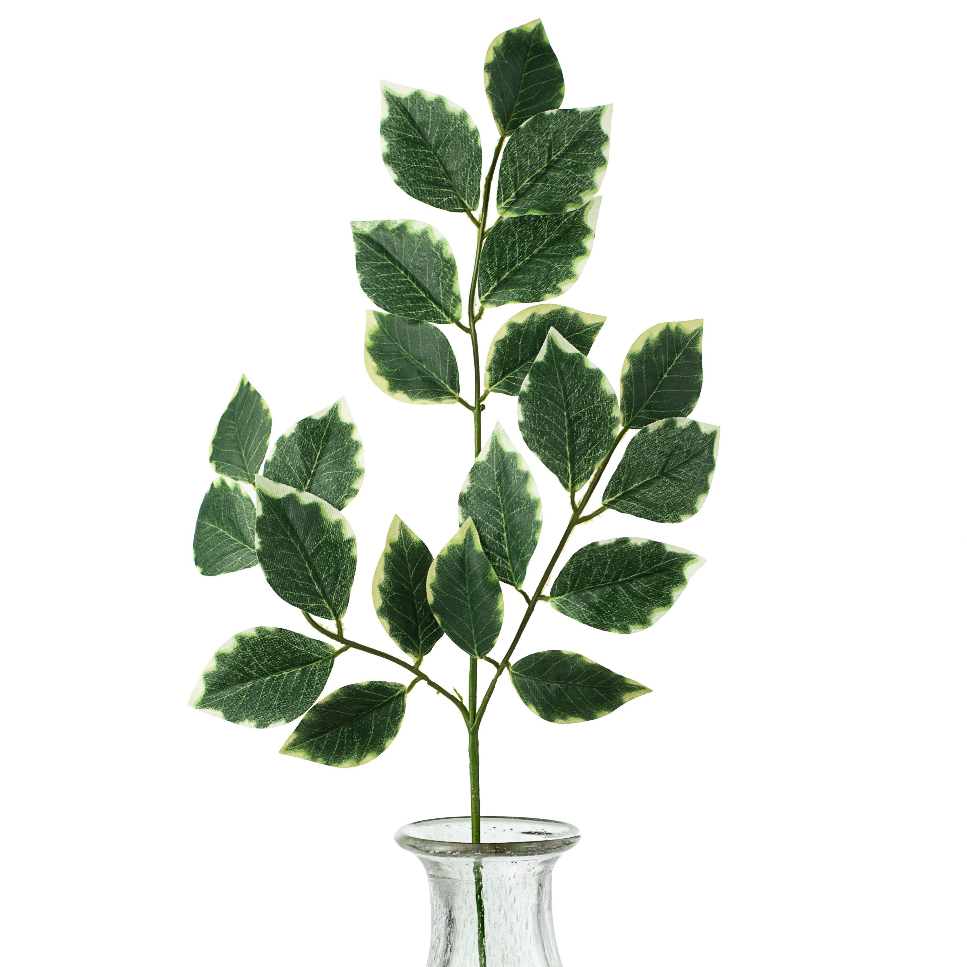 23" Ficus Spray Item Number: 13147VAGN