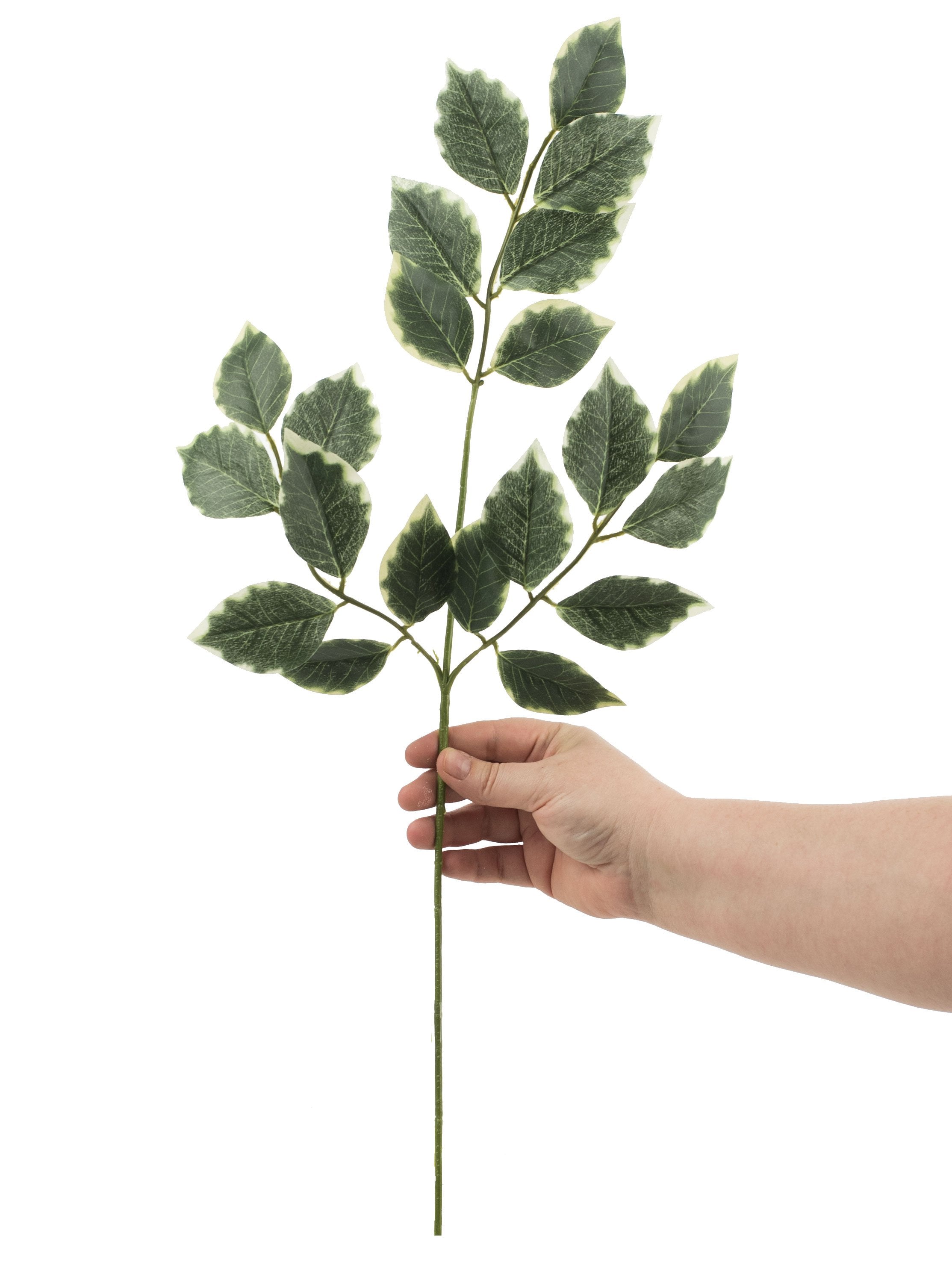 23" Ficus Spray Lifestyle Photo