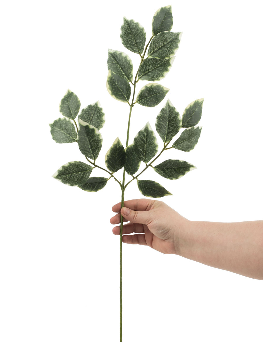 23" Ficus Spray Lifestyle Photo