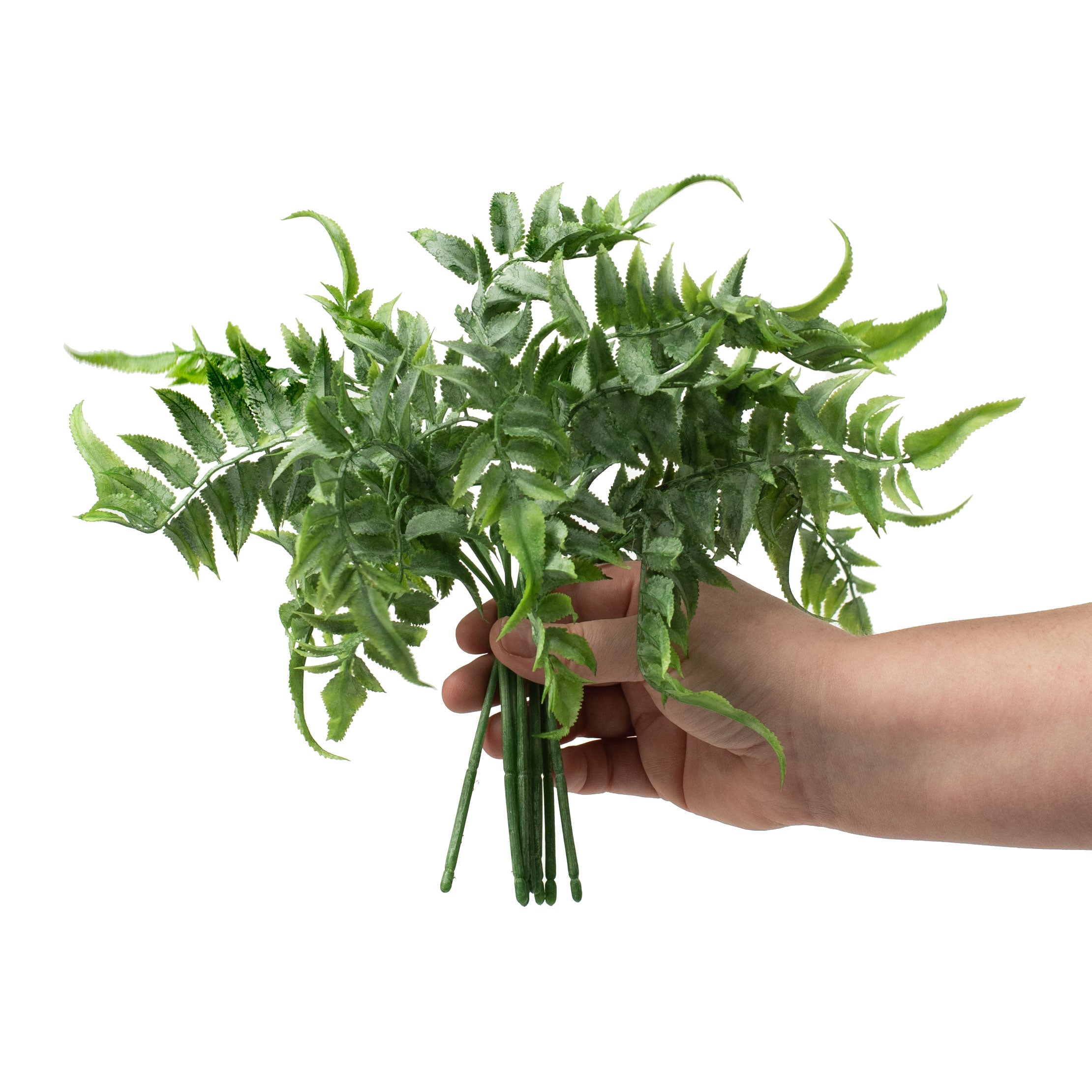 12" Field Fern Bush detail photo 3