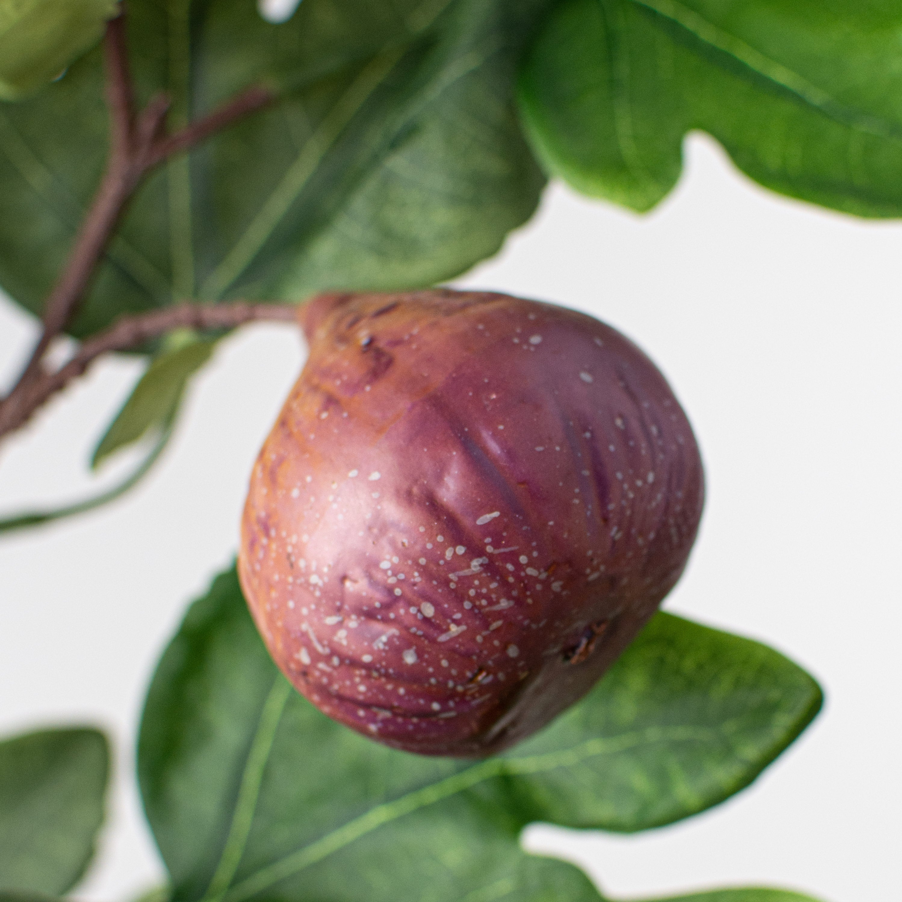 30.5" Fig Spray: Plum Lifestyle Photo