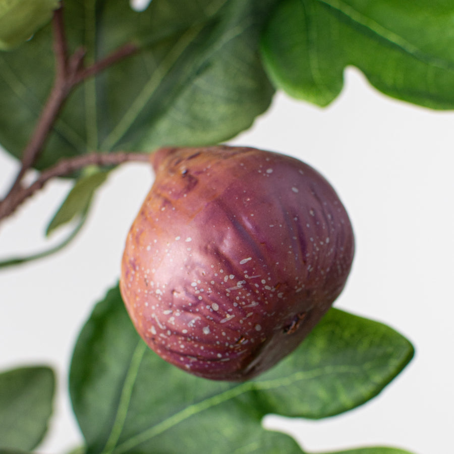 30.5" Fig Spray: Plum Lifestyle Photo