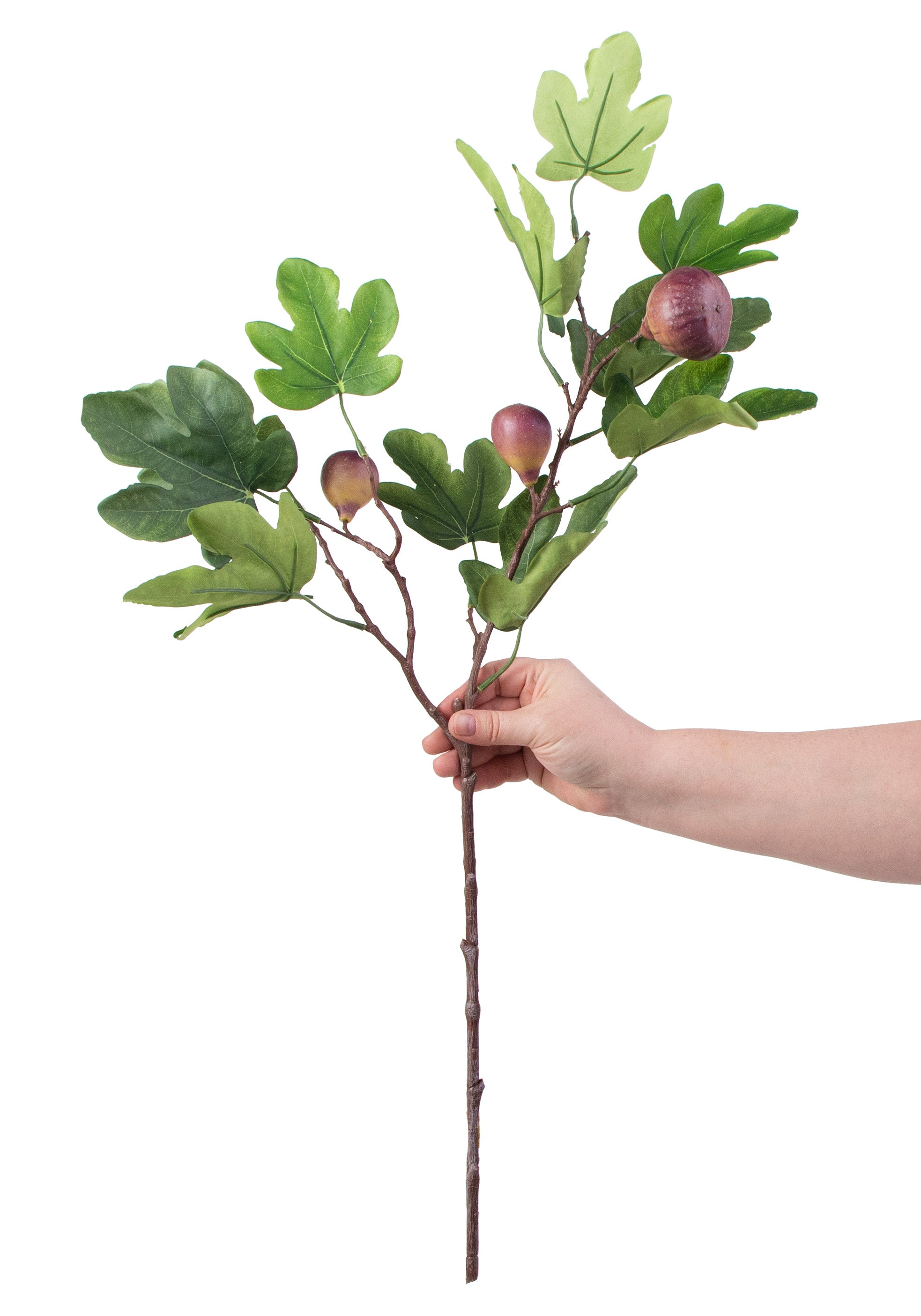 30.5" Fig Spray: Plum detail photo 3