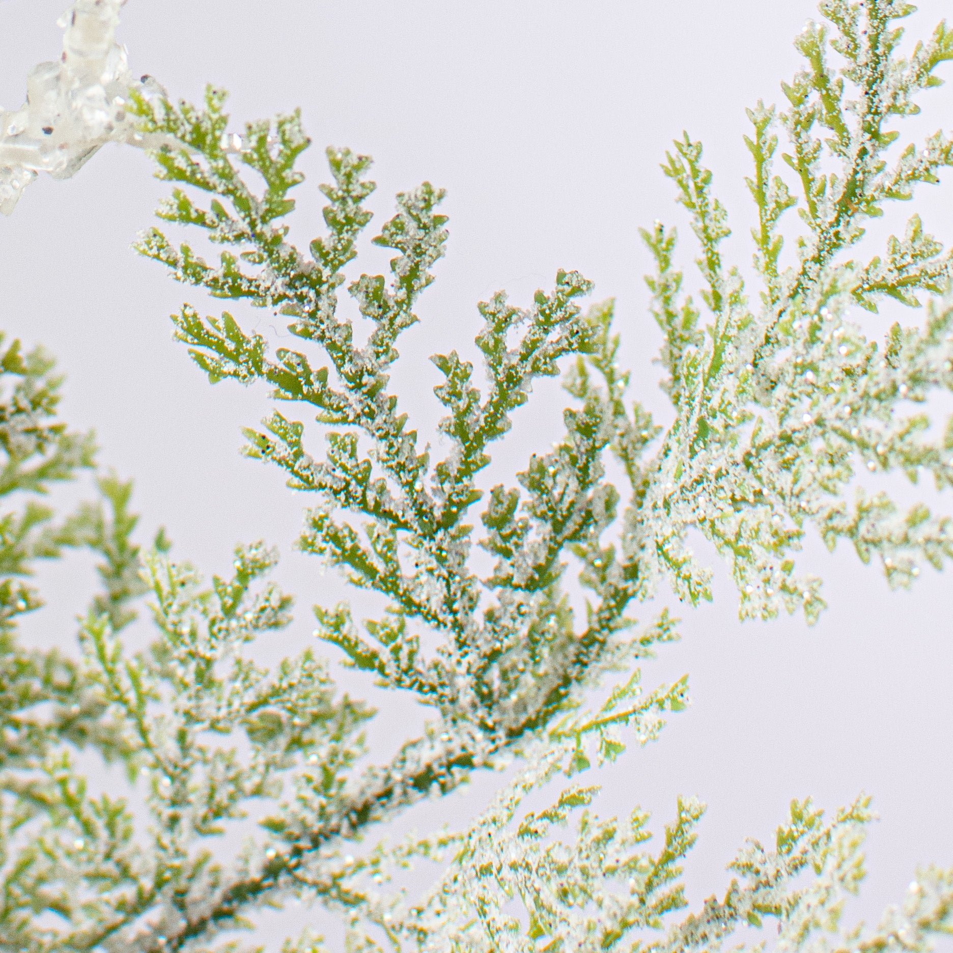 15" Fllocked Snow Peppermint, Pine & Cones Pick detail photo 4