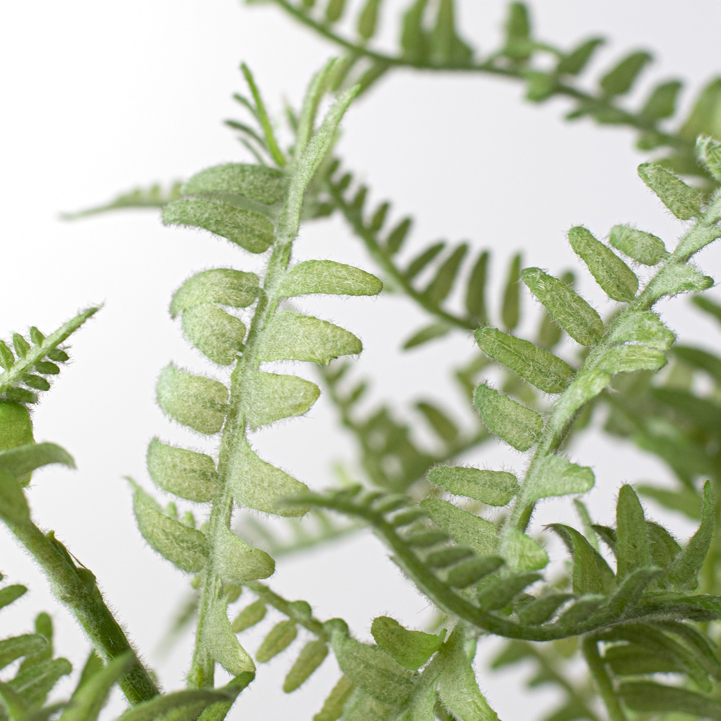 30" Flocked Fern Spray Lifestyle Photo