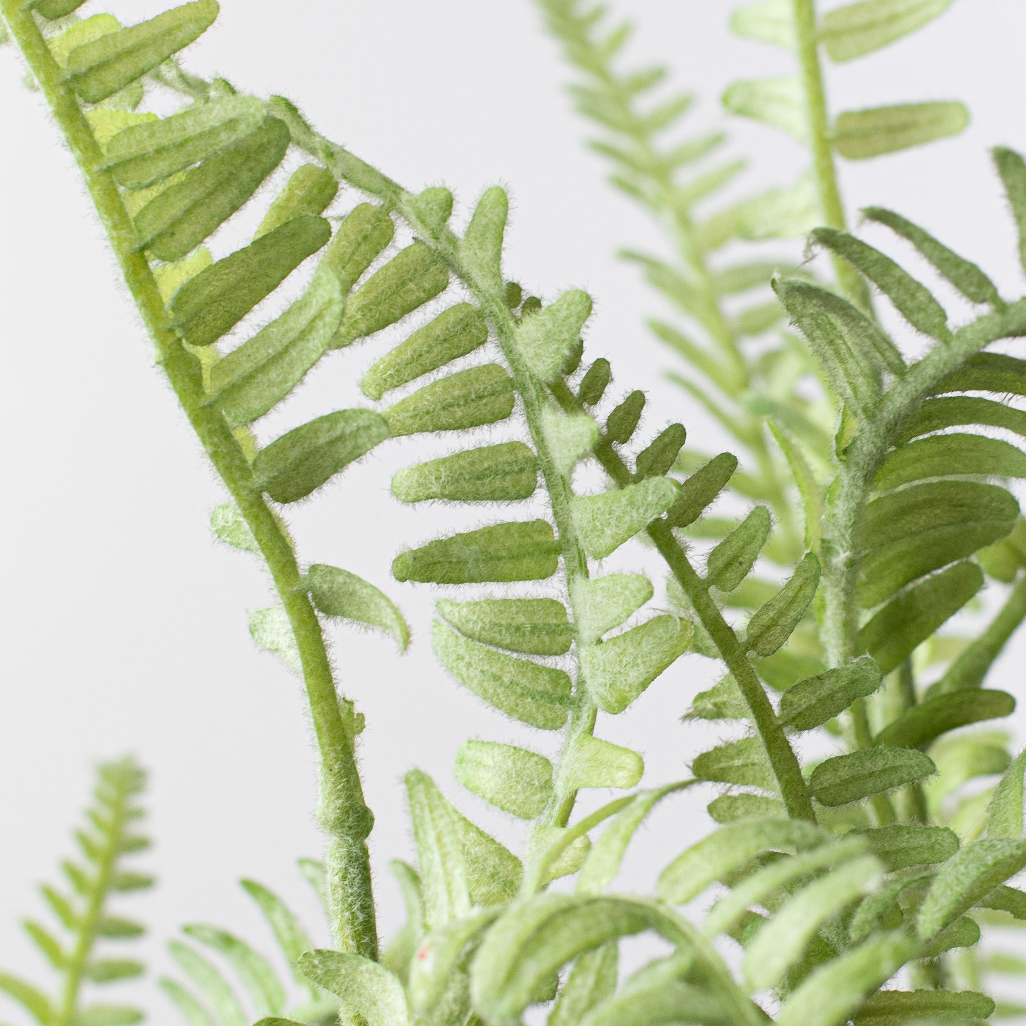 30" Flocked Fern Spray detail photo 4