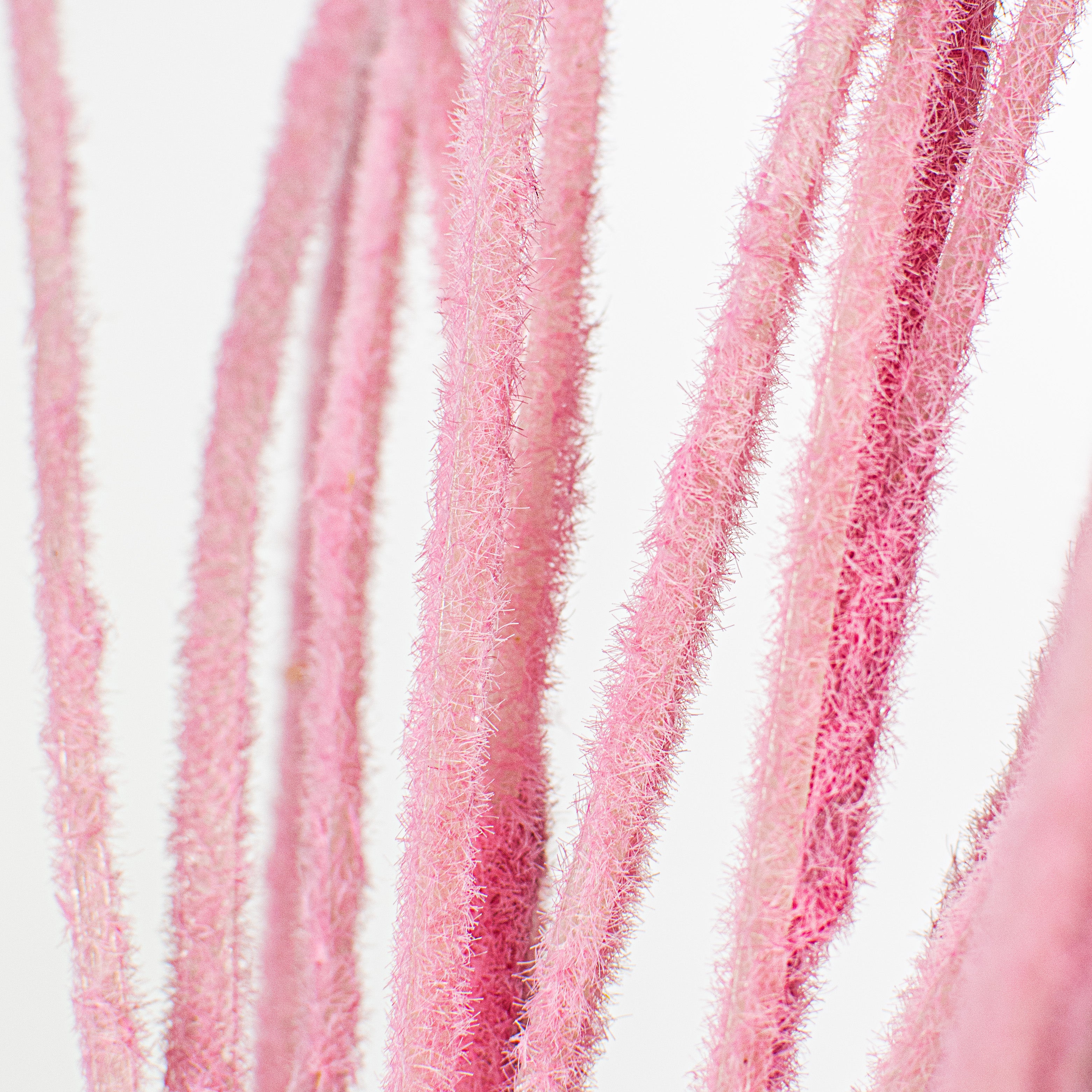 27" Flocked Grass Bush: Pink Lifestyle Photo