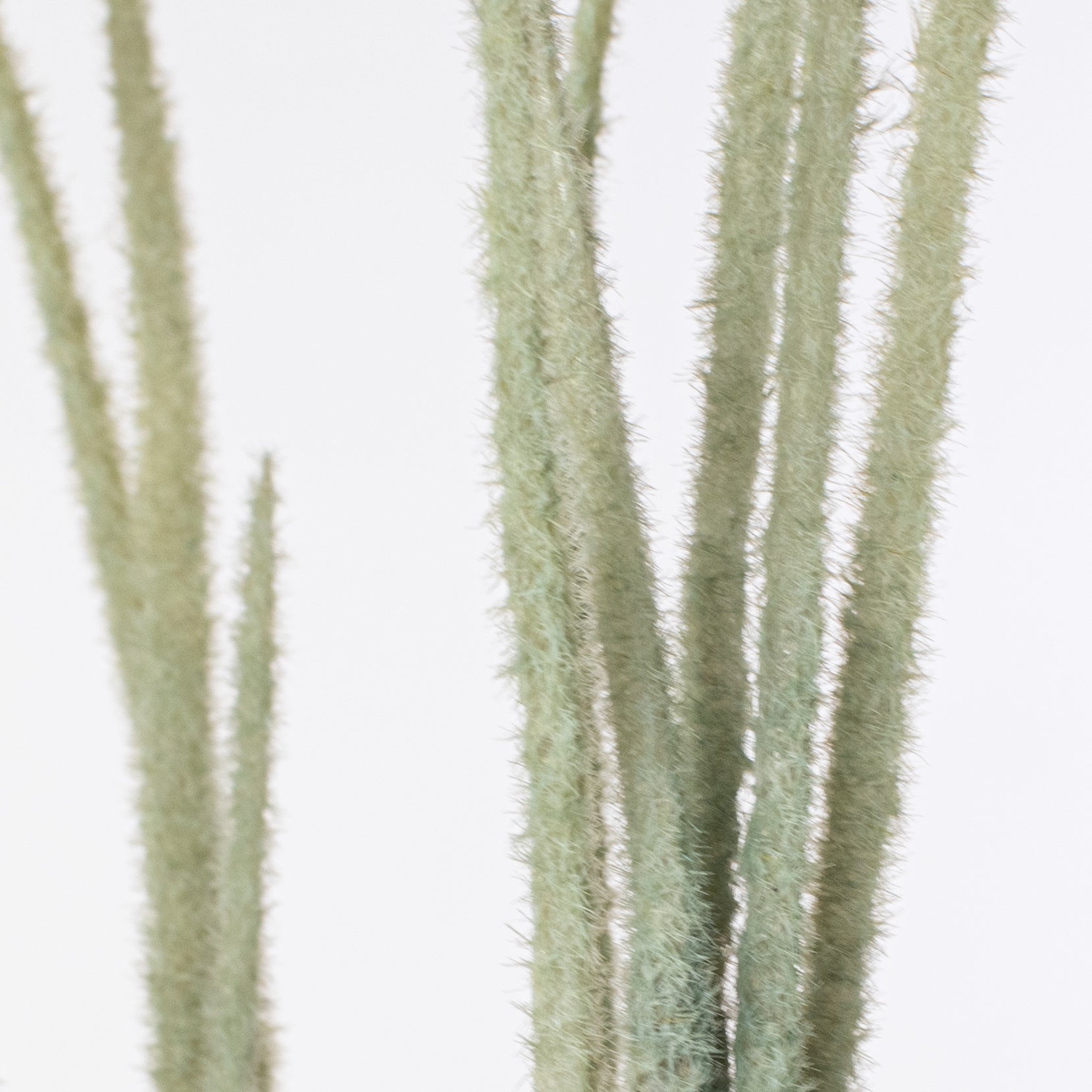 27" Flocked Grass Bush: Sage Green Lifestyle Photo