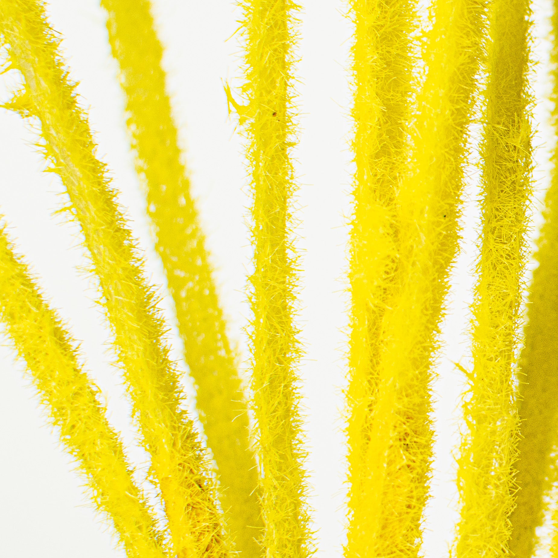 27" Flocked Grass Bush: Yellow Lifestyle Photo