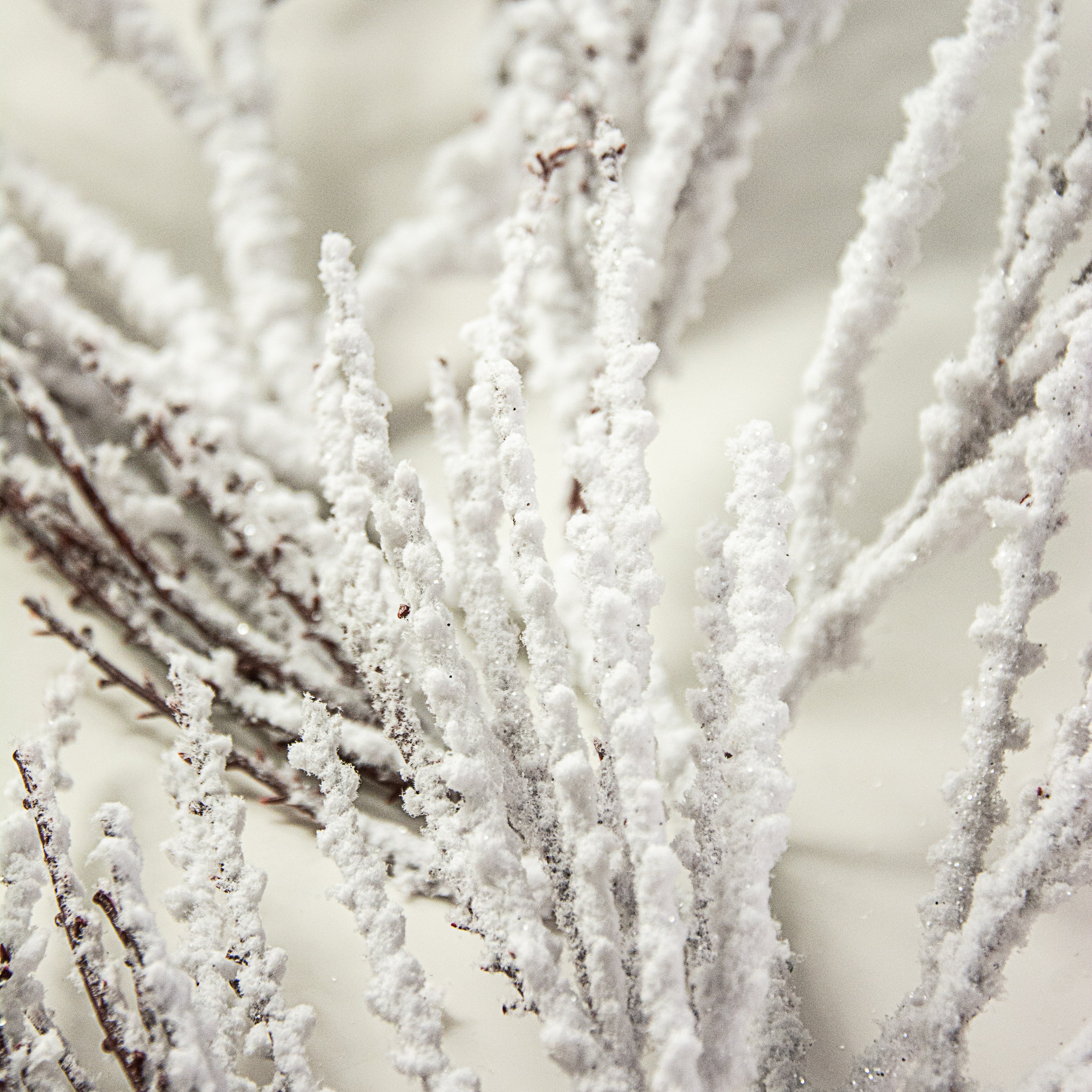 5' Flocked Pine Garland detail photo 3