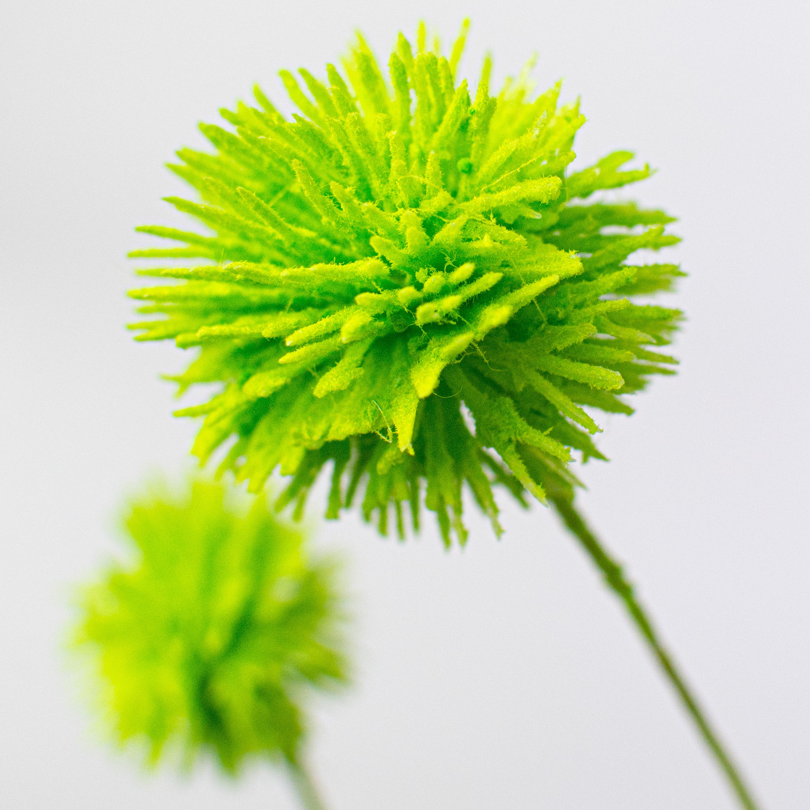 19" Flocked Pom Pom Spray: Lime Green Lifestyle Photo