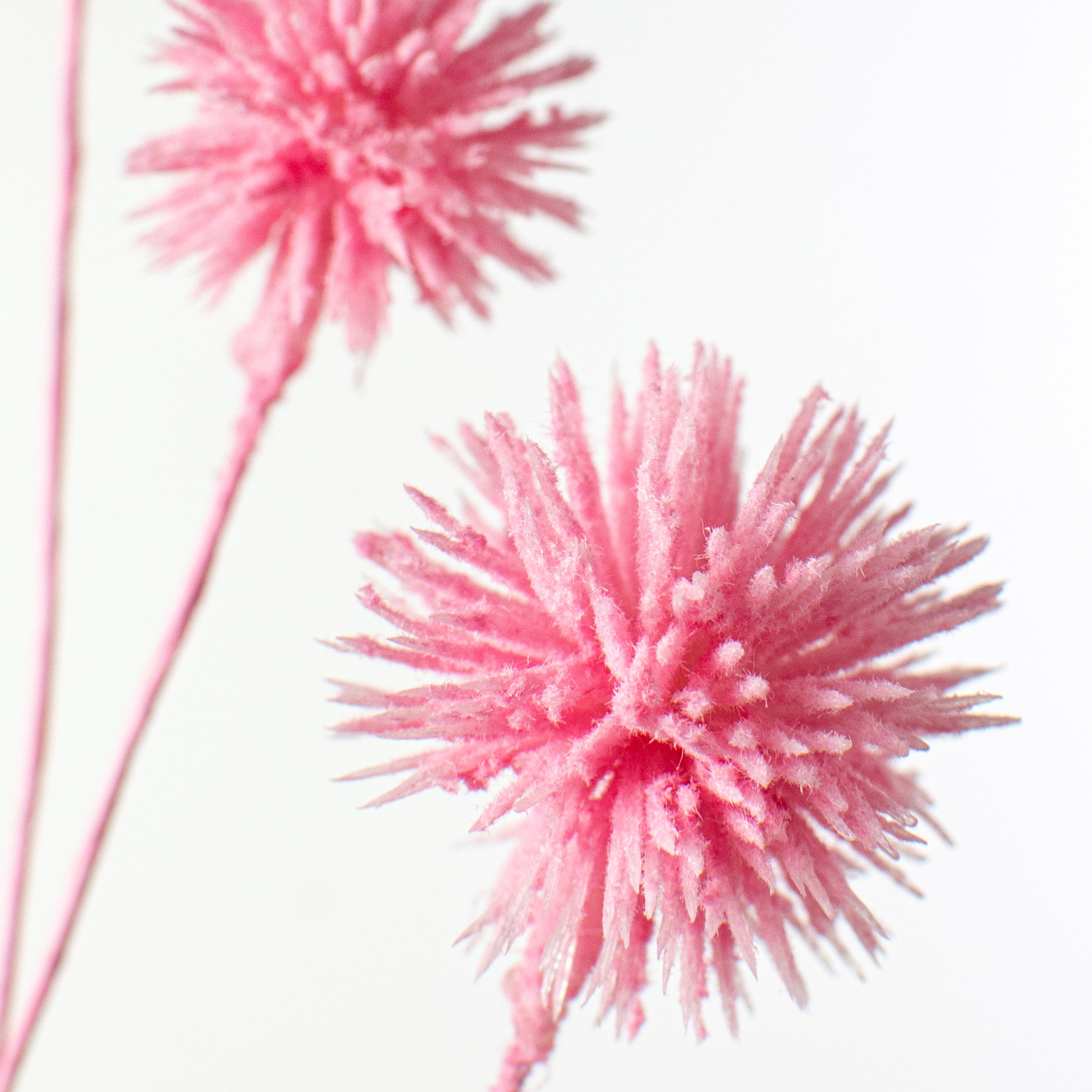 19" Flocked Pom Pom Spray: Pink Lifestyle Photo
