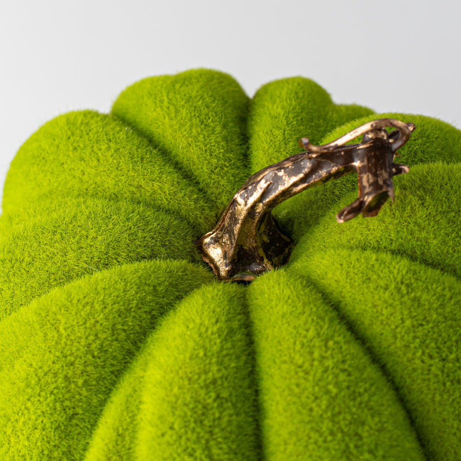 7" Flocked Pumpkin: Lime detail photo 3