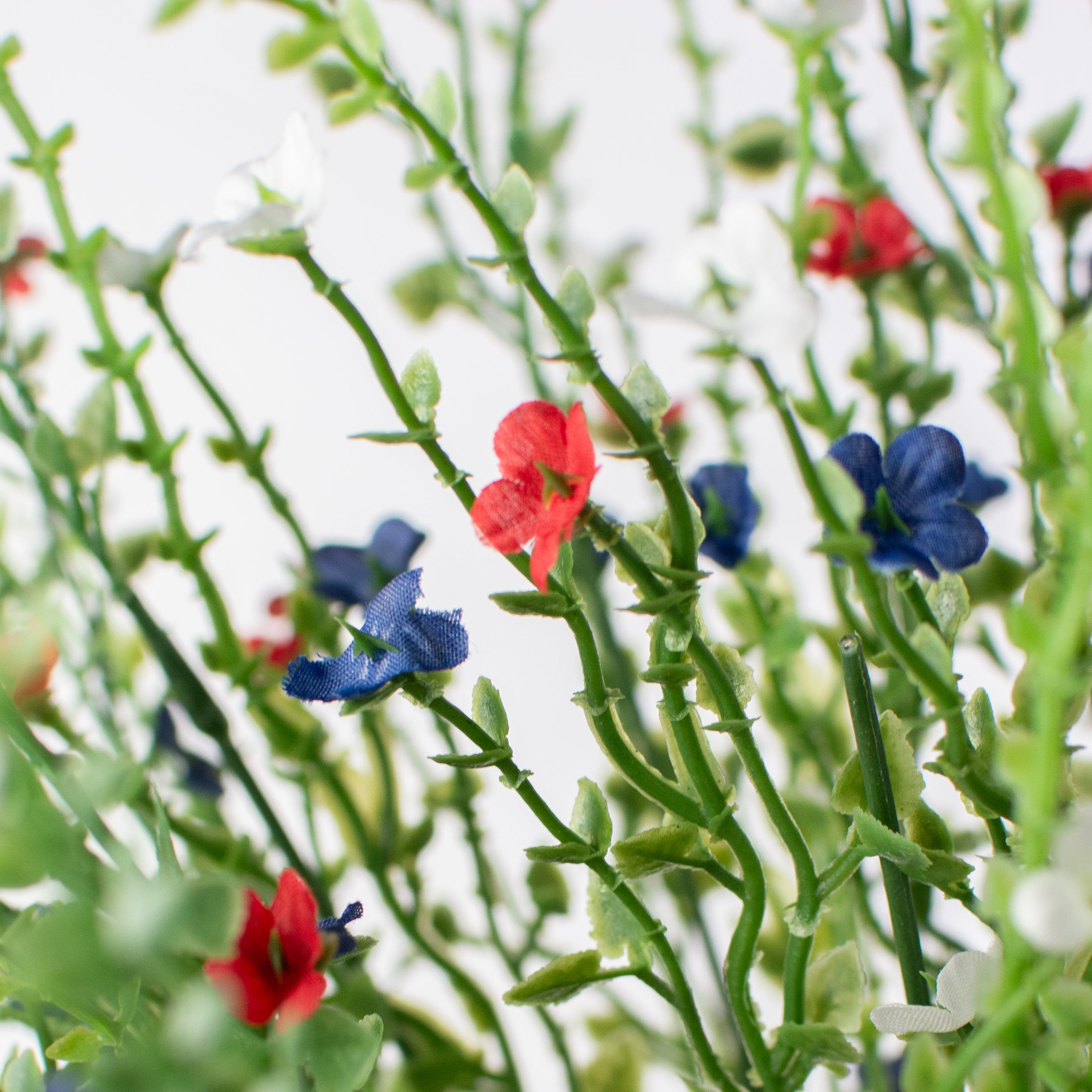 21" Flowering Filler Bush: Red, White & Blue Lifestyle Photo