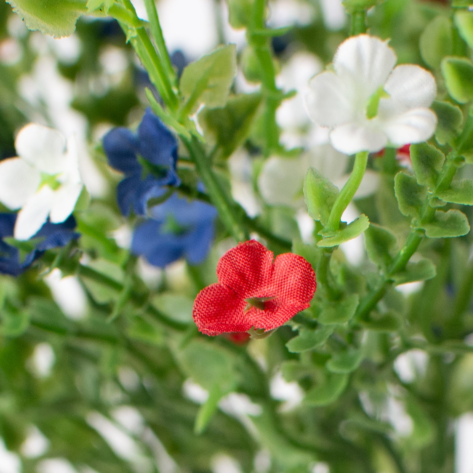 21" Flowering Filler Bush: Red, White & Blue detail photo 5