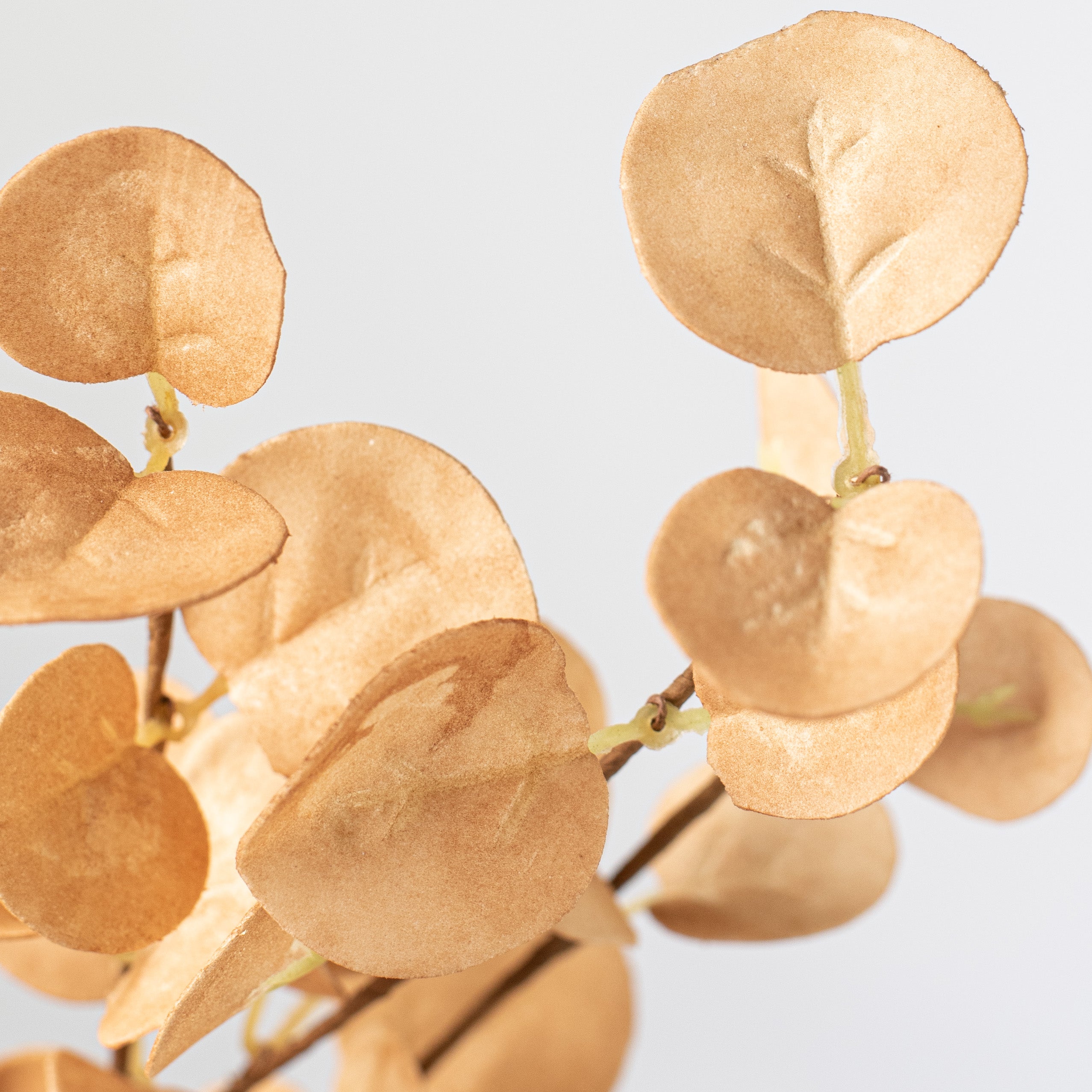 23" Foam Silver Dollar Leaves Spray: Beige Lifestyle Photo