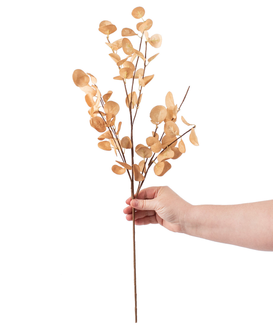 23" Foam Silver Dollar Leaves Spray: Beige detail photo 3