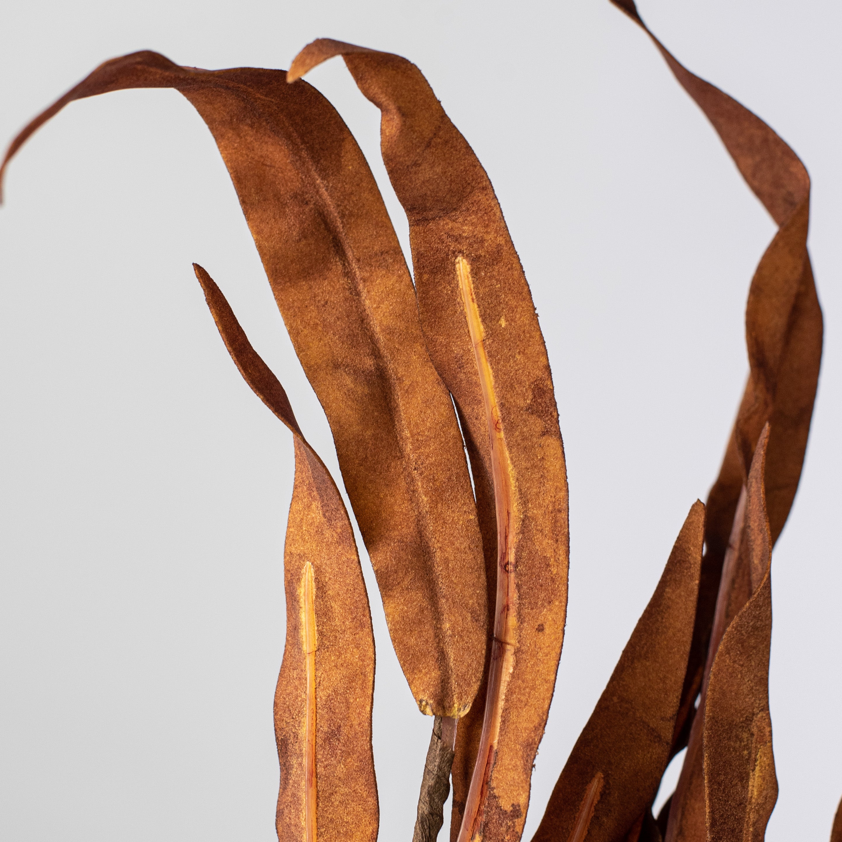 18" Foam Willow Leaves Pick: Brown Lifestyle Photo