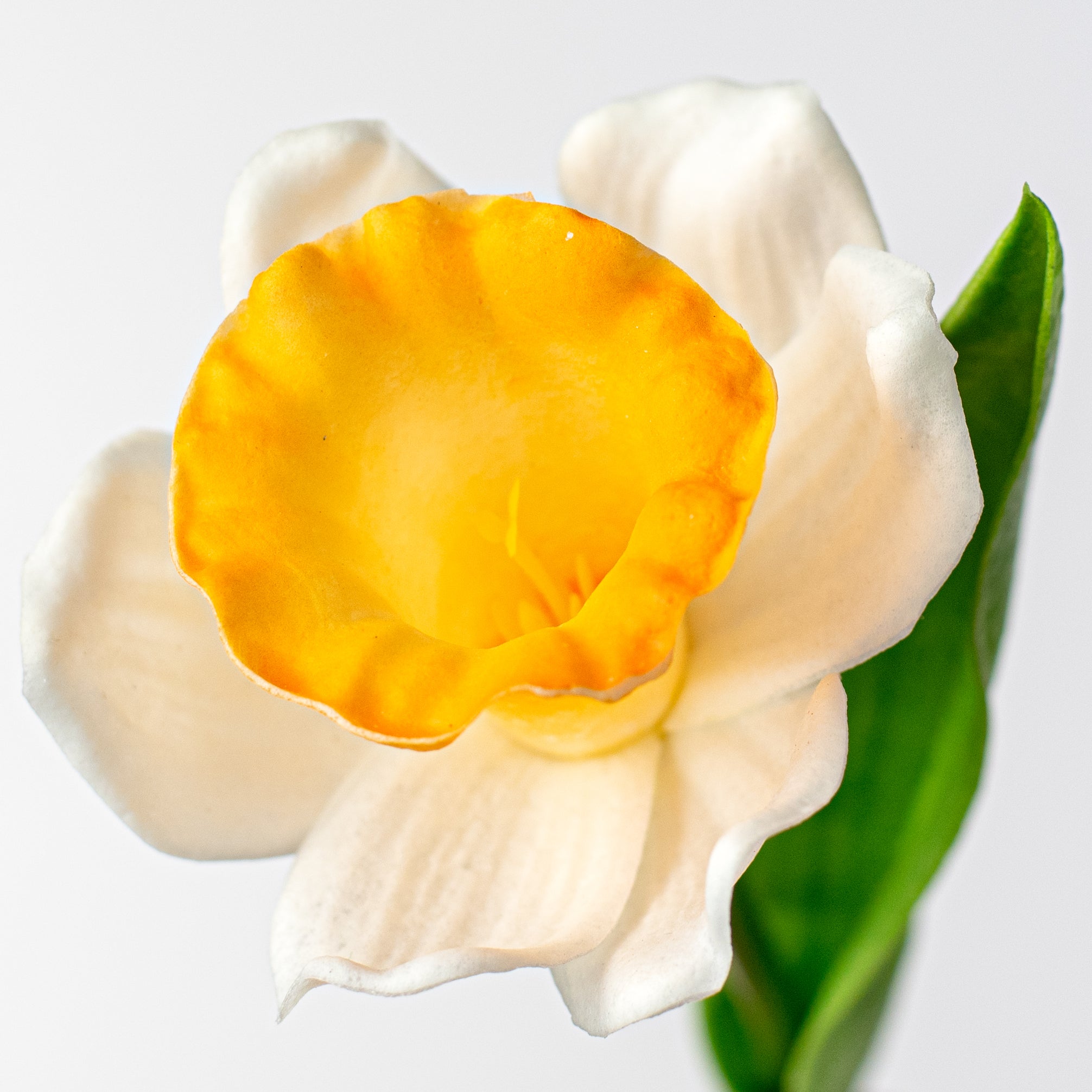 13" Foamy Daffodil With Leaf Lifestyle Photo