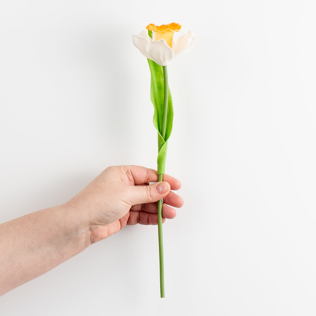 13" Foamy Daffodil With Leaf detail photo 3
