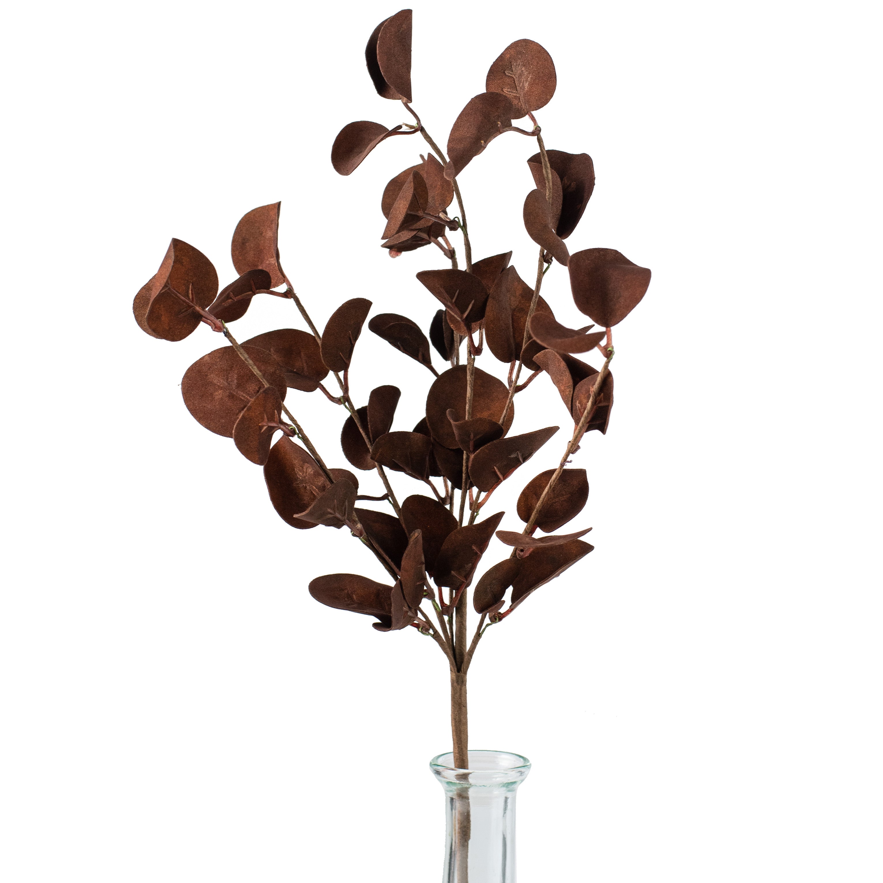 16" Foamy Silver Dollar Leaves Pick: Coffee Item Number: 28316