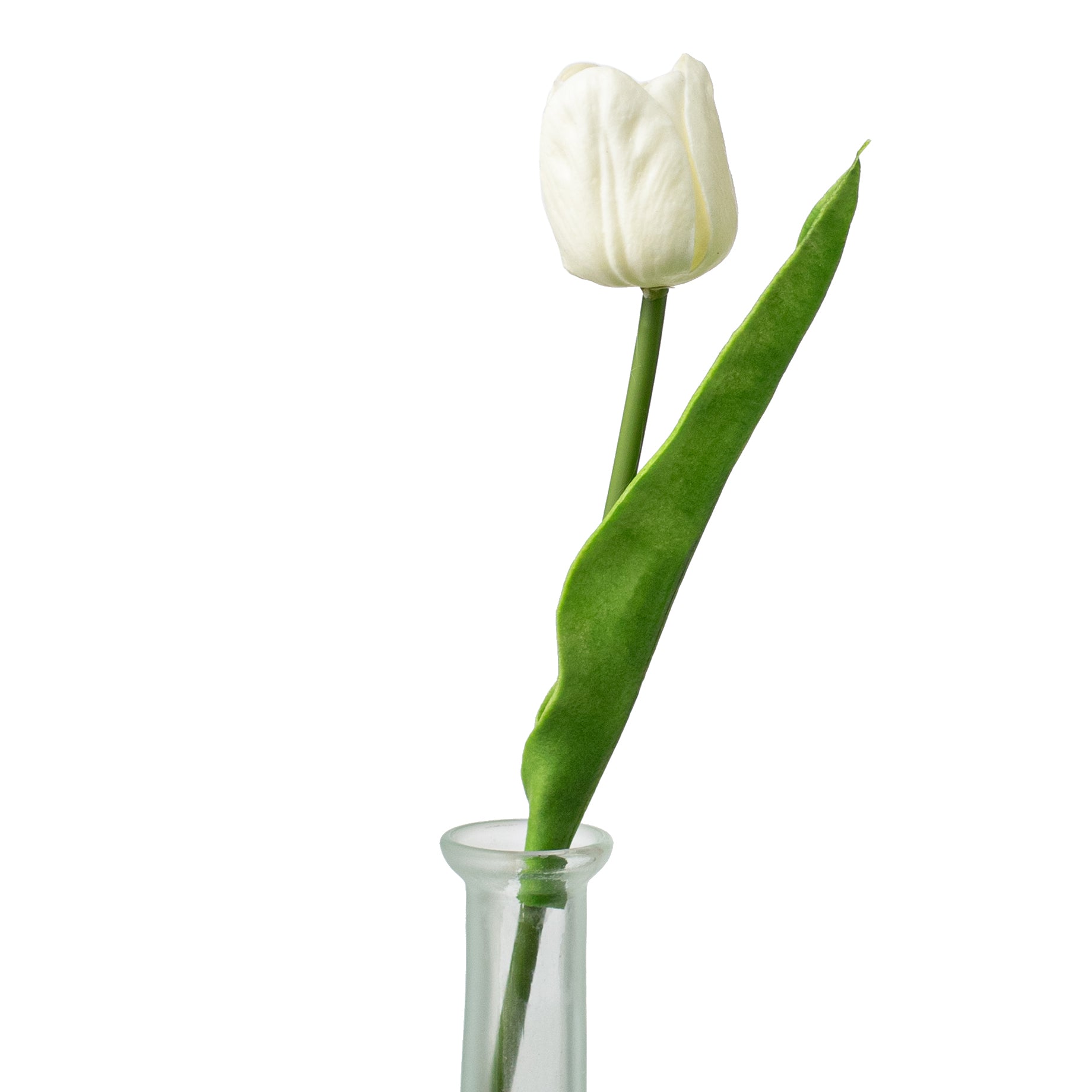 14" Foamy Tulip Bud With Leaf: White Item Number: 27256