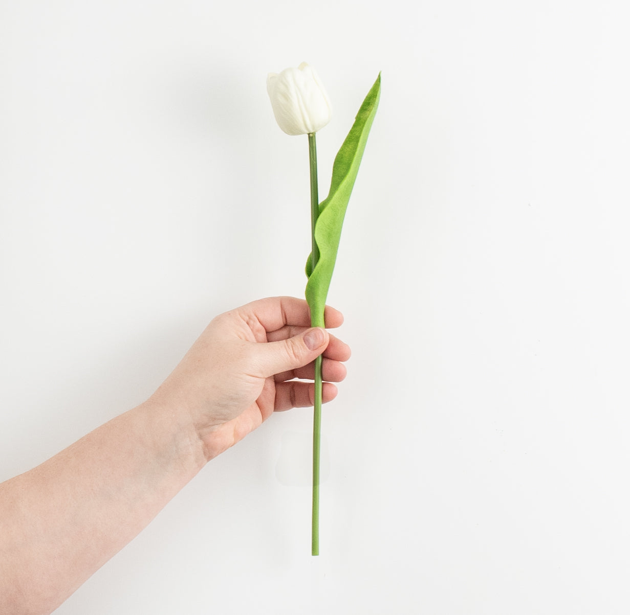 14" Foamy Tulip Bud With Leaf: White detail photo 3