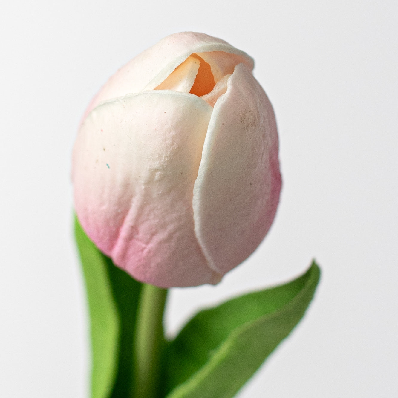 15" Foamy Tulip Bud Stem: Light Pink Lifestyle Photo