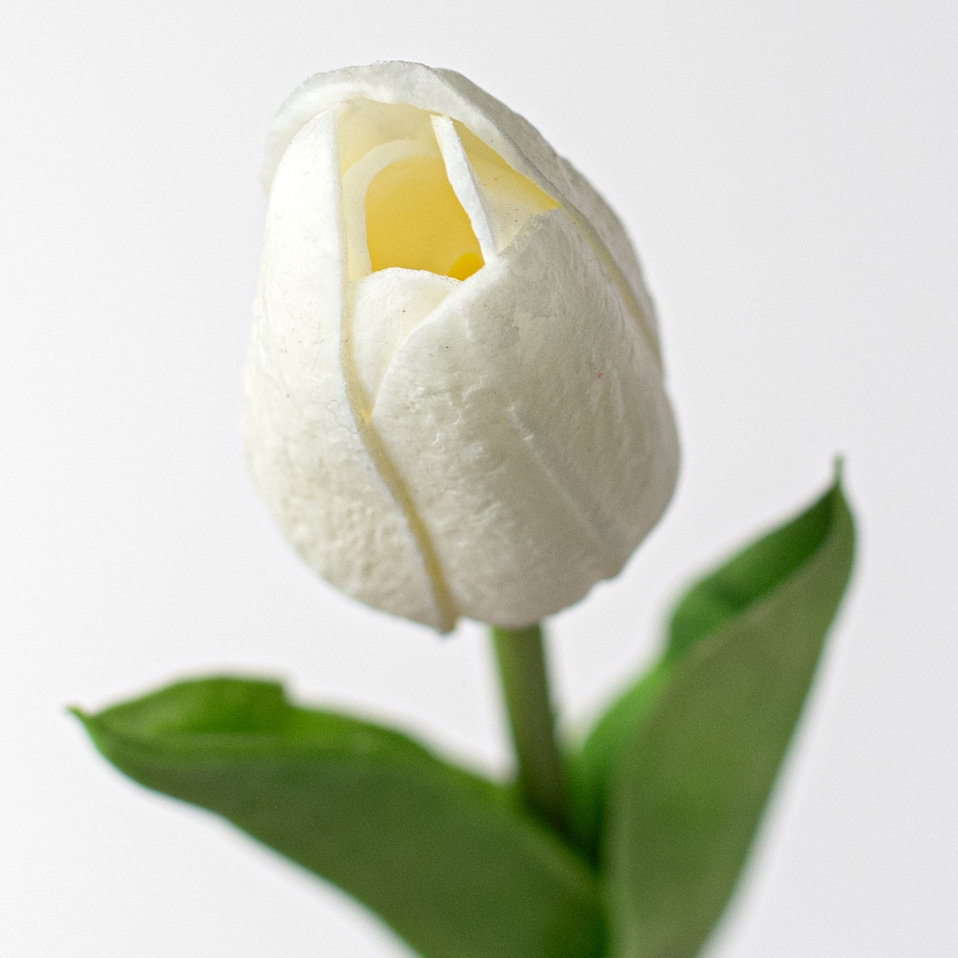 15" Foamy Tulip Bud Stem: White Lifestyle Photo