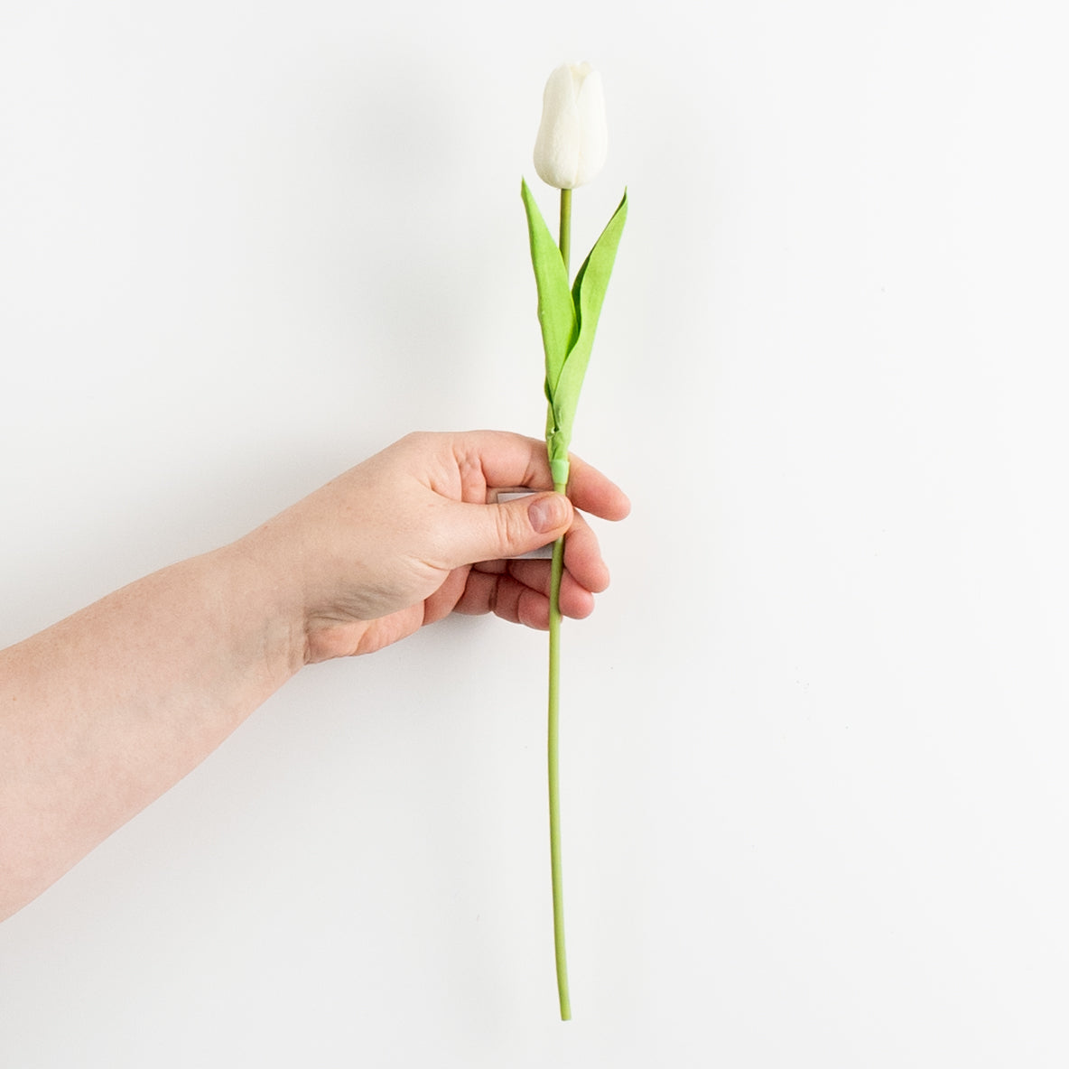 15" Foamy Tulip Bud Stem: White detail photo 3