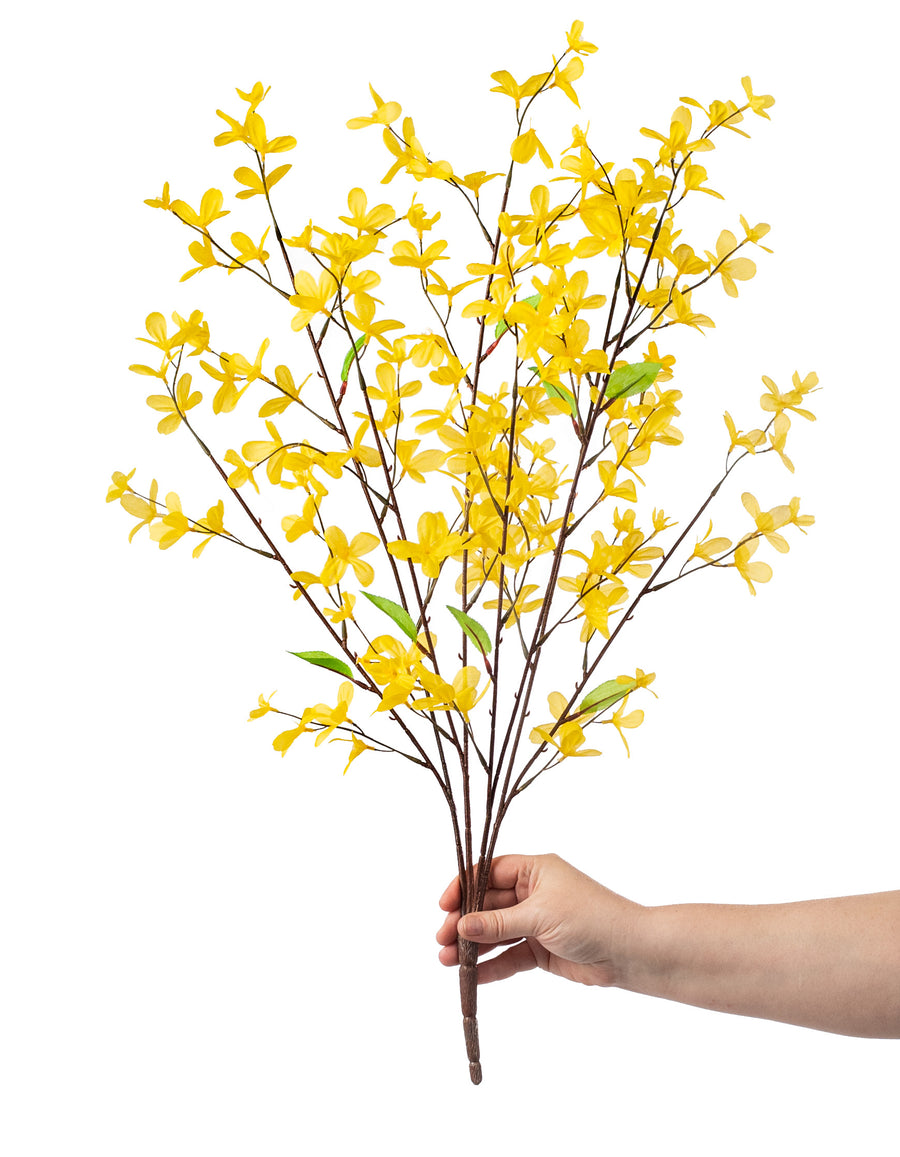 29" Forsythia Flower Bush: Yellow detail photo 3
