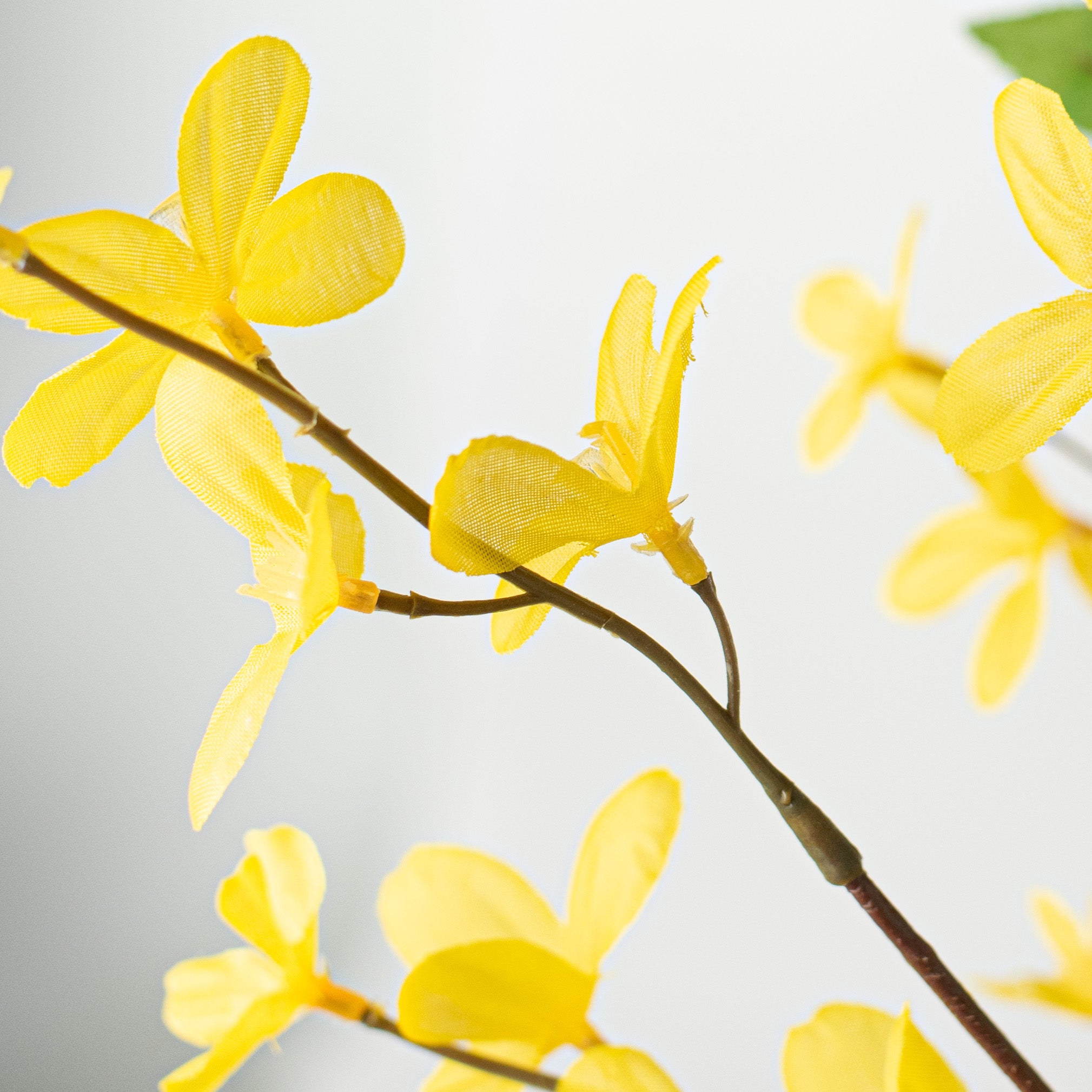 29" Forsythia Flower Bush: Yellow detail photo 4