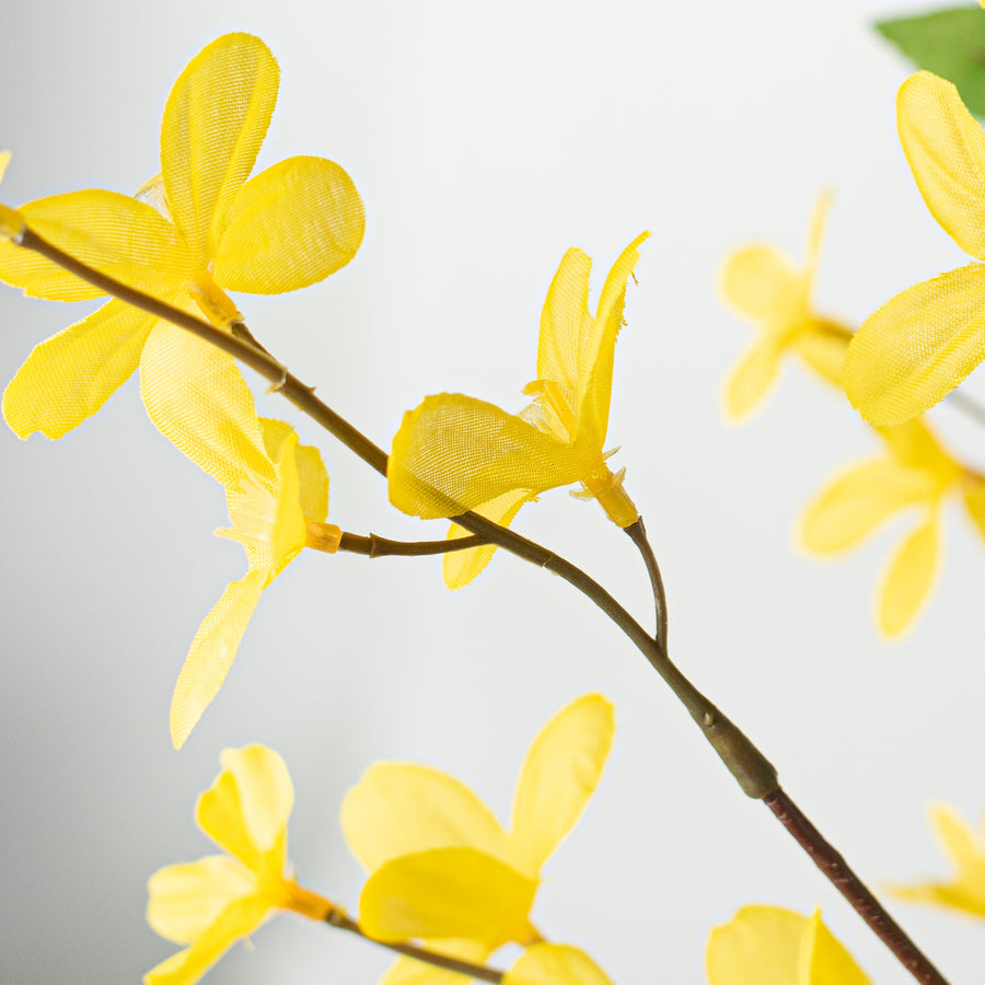 29" Forsythia Flower Bush: Yellow detail photo 4