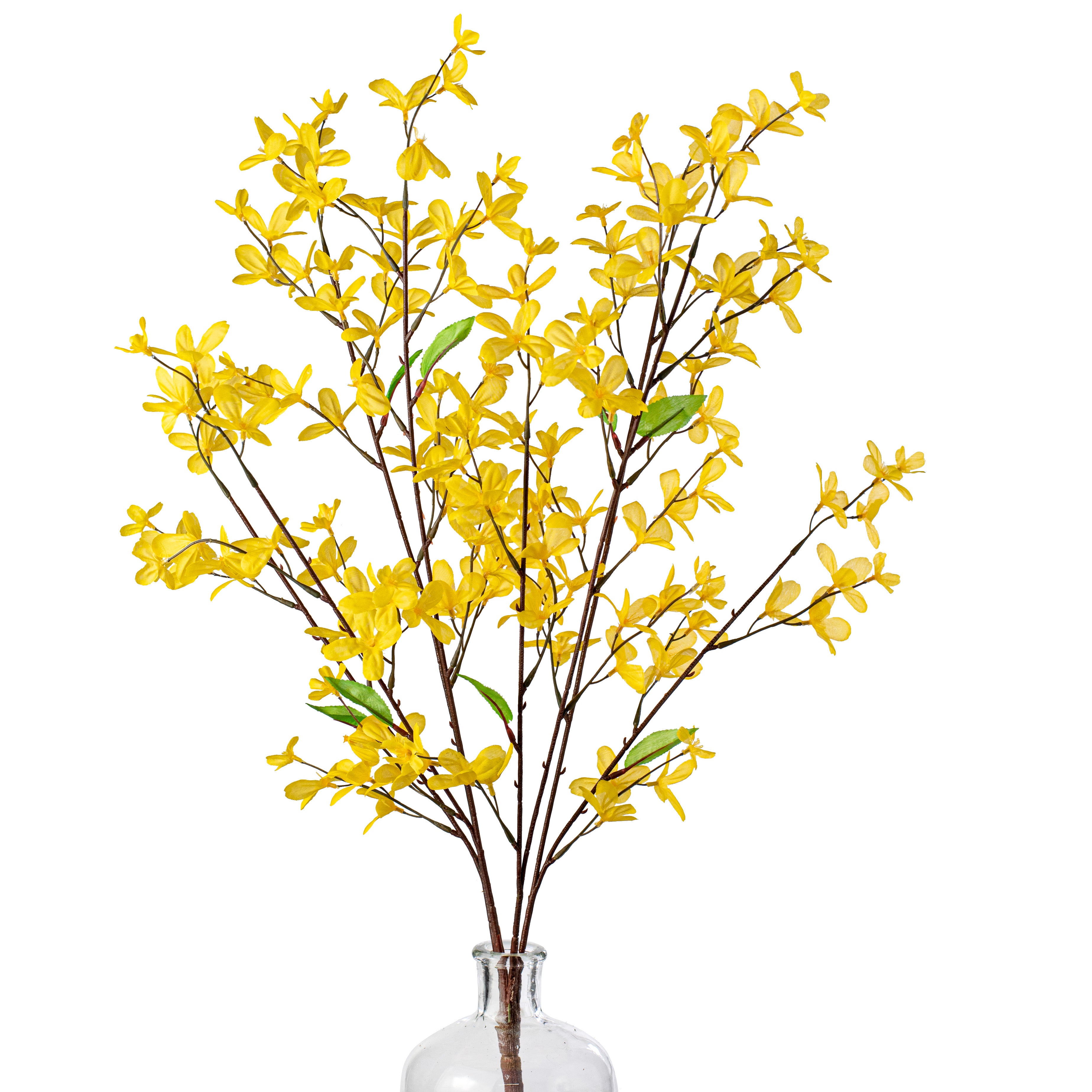 29" Forsythia Flower Bush: Yellow Item Number: 61507YW