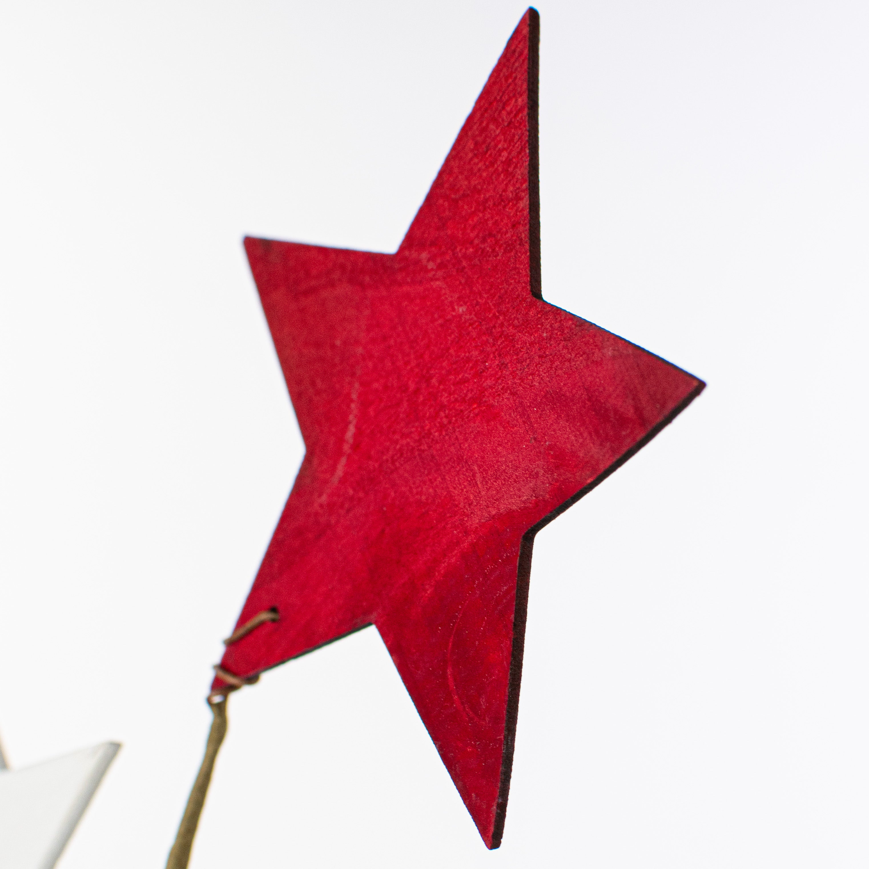 26" Fourth of July Stars Spray Lifestyle Photo